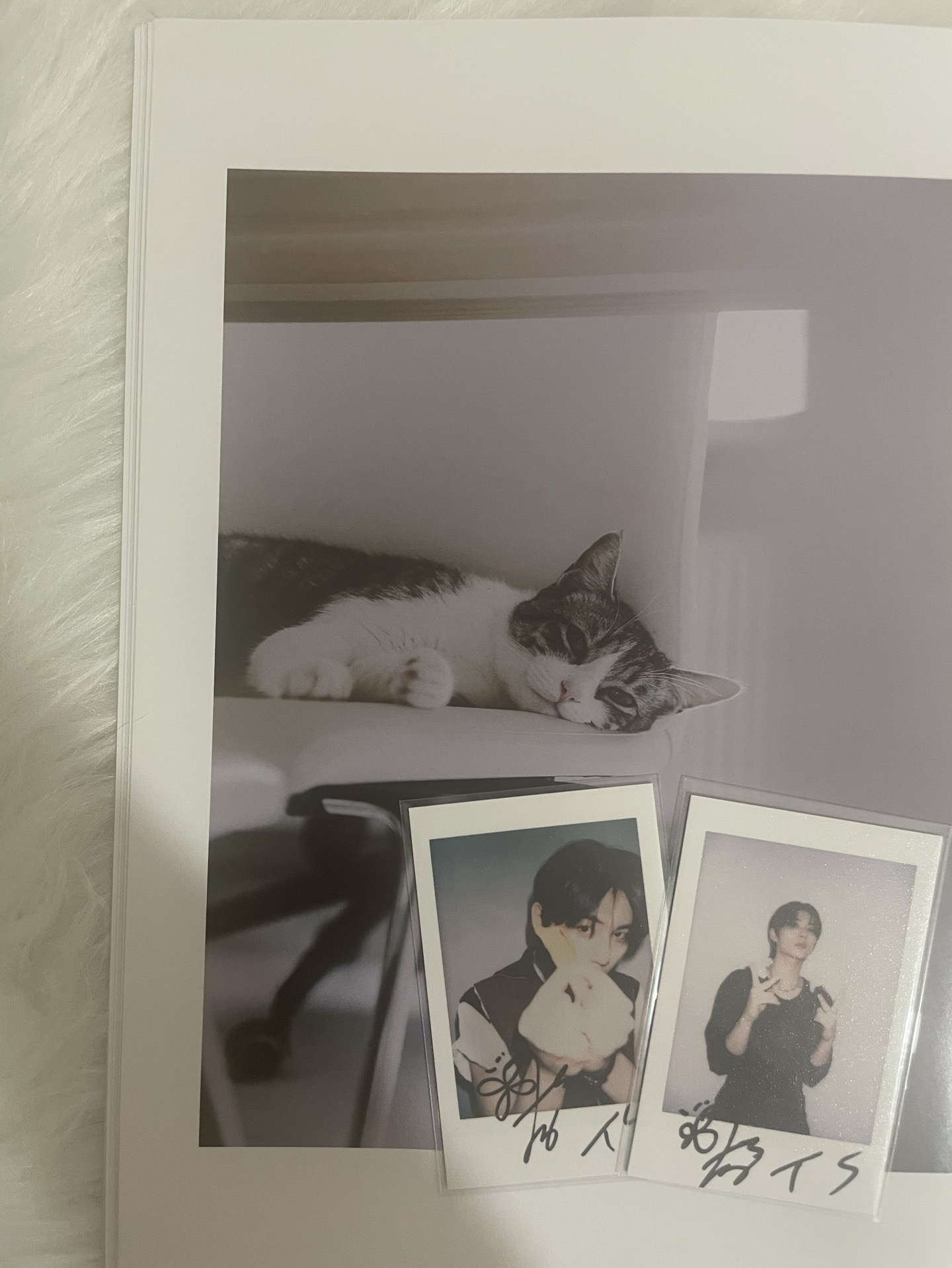 【BND】🐈‍⬛費加洛雜誌小卡