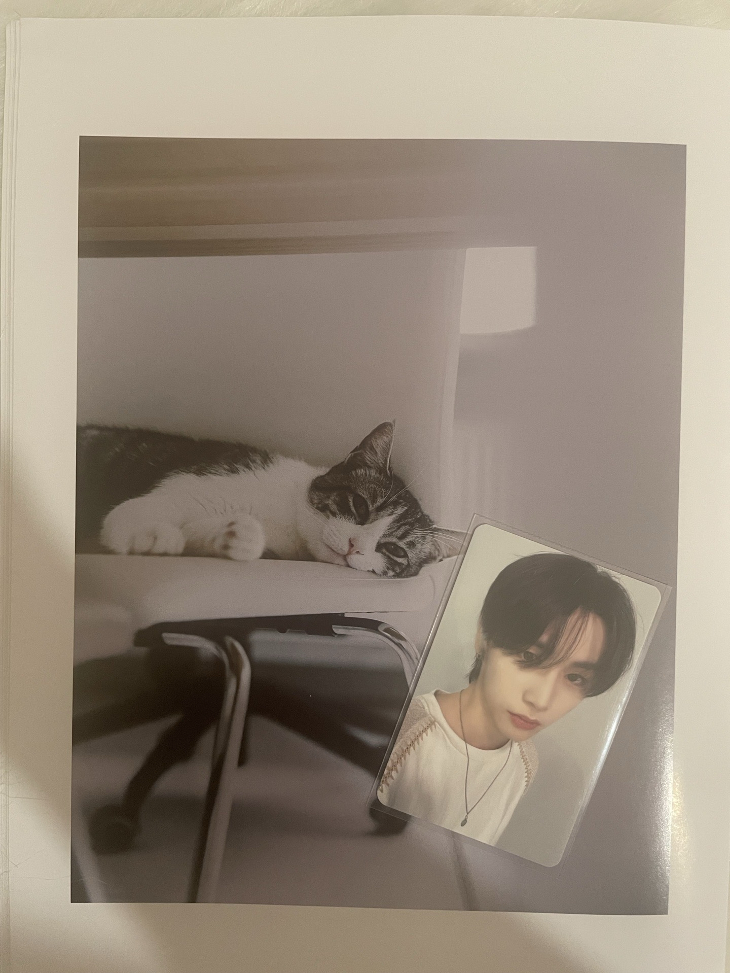 【BND】🐈‍⬛滿額快閃