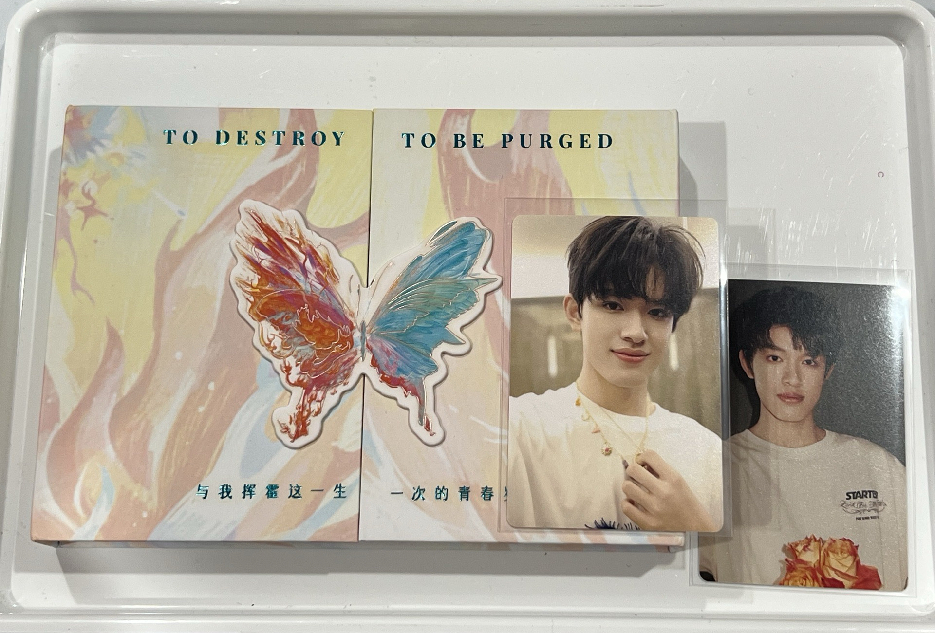 張極生於火焰全套 固配+項鍊極