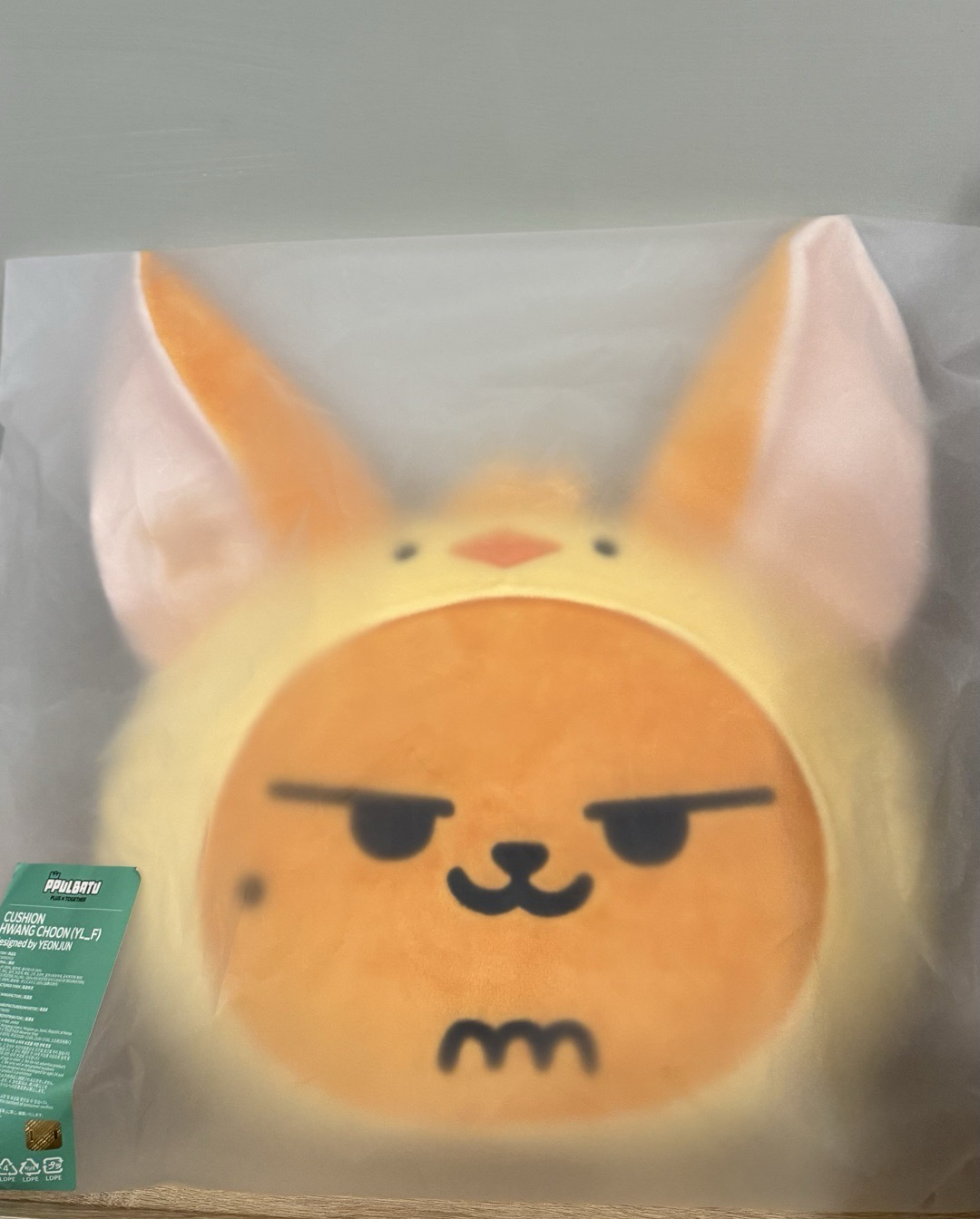 【現貨/隔日出貨】全新未拆  黃春抱枕