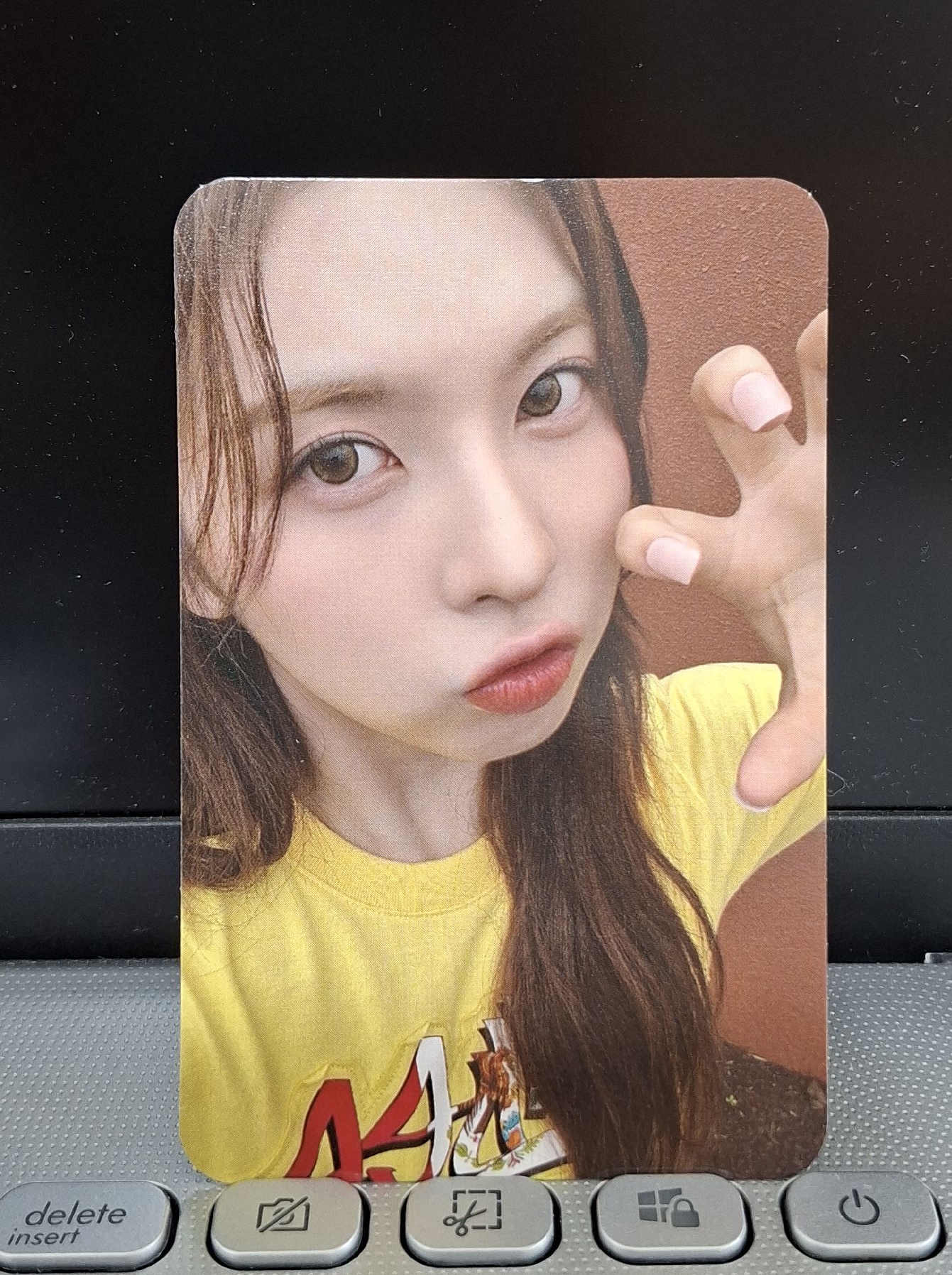 仲夏夜 SC入場裴