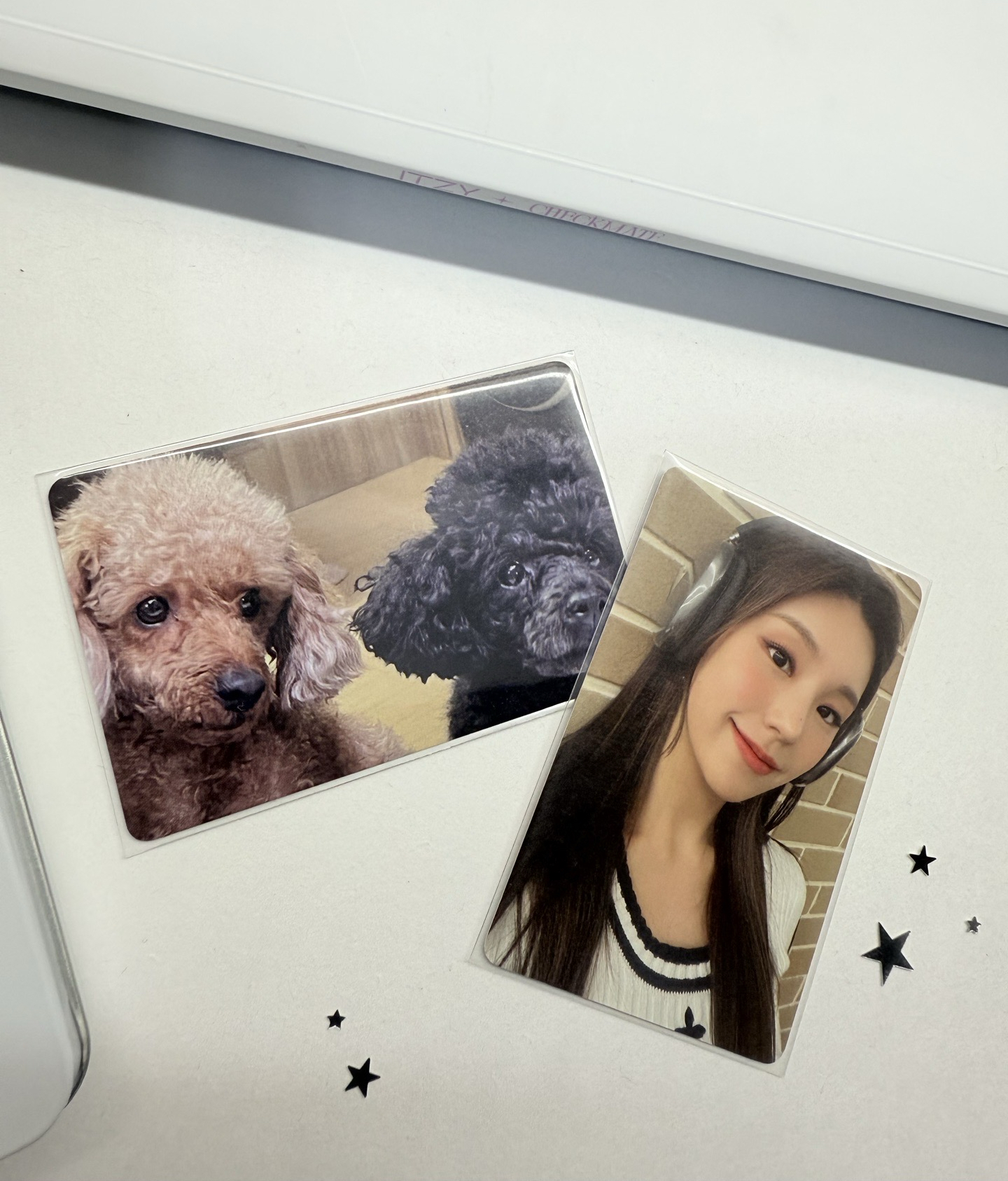 CHESHIRE wm 7.0 耳機 雙面卡 卡背人參紅參🐶