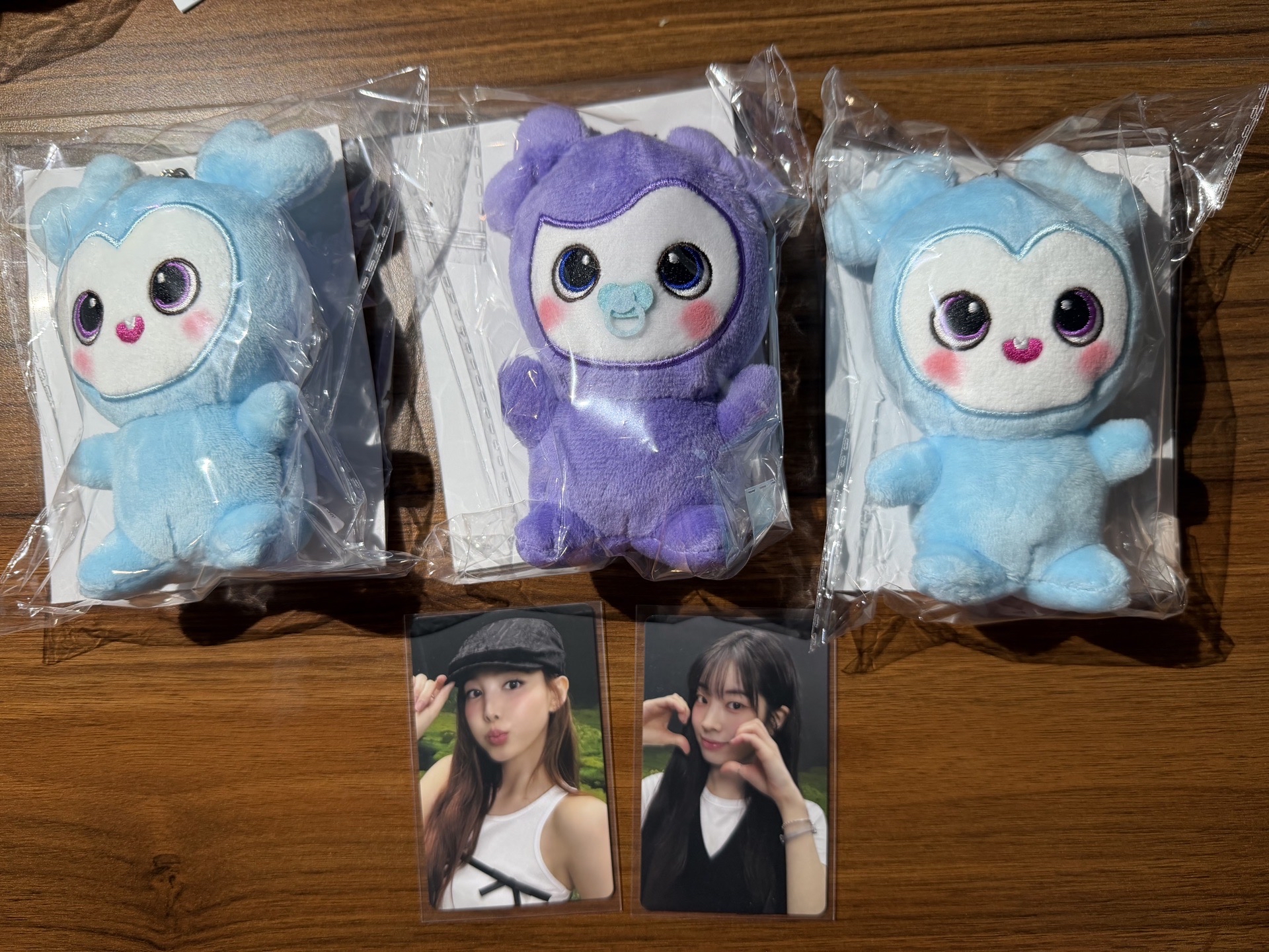 娜璉、SANA ENEMY 提袋 全新未拆