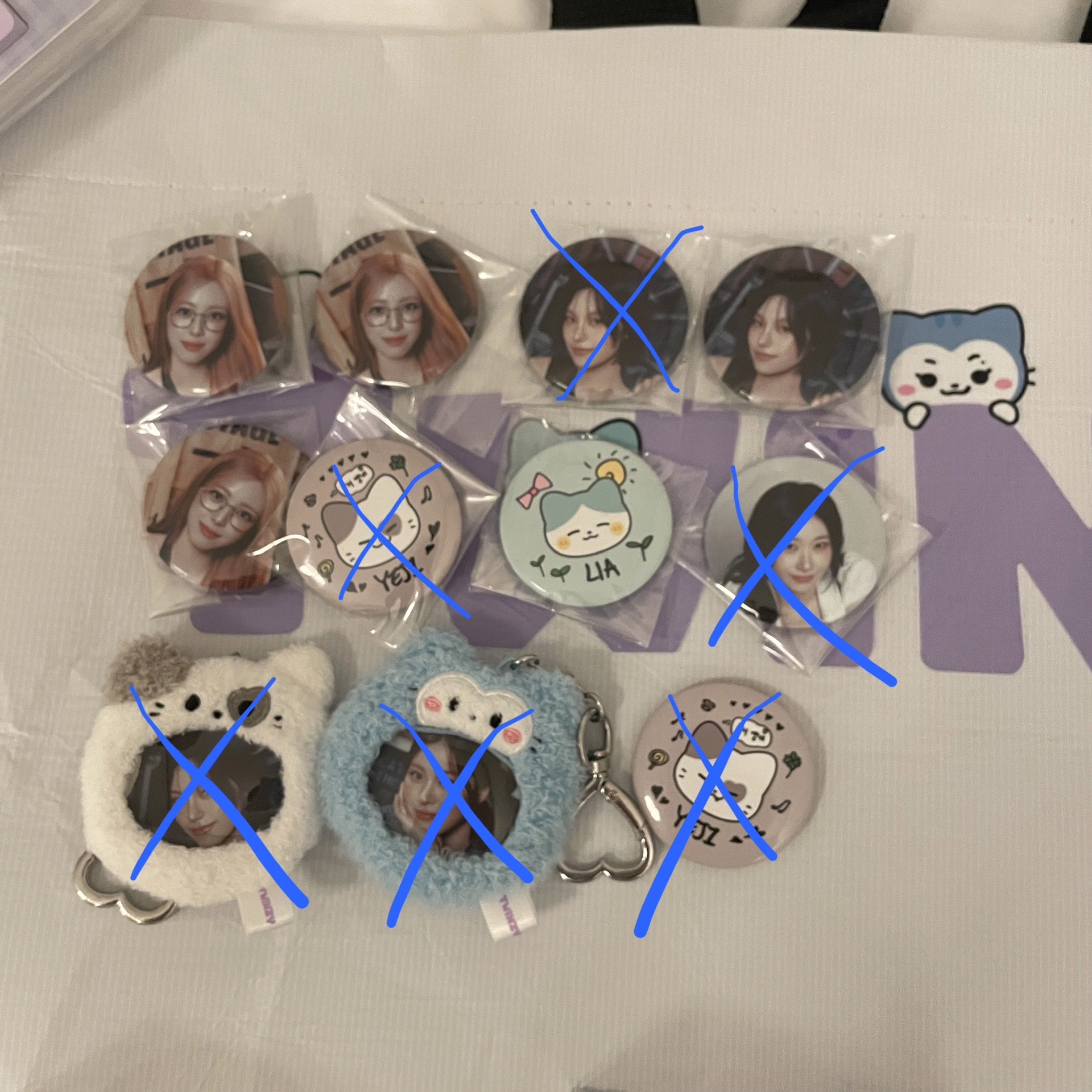 2025 FM TWINZY LILI徽章