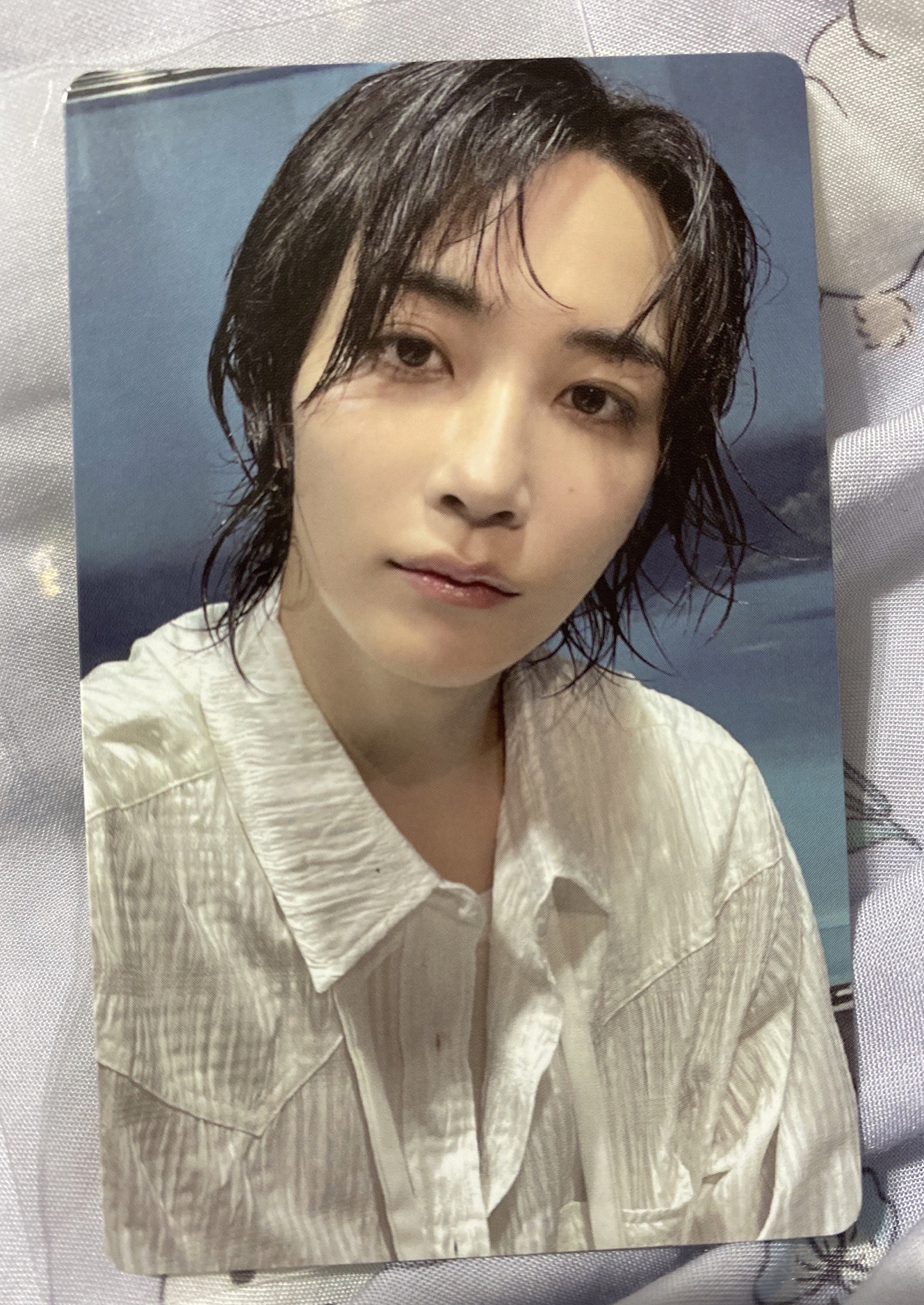 SEVENTEEN 迷12 wvs特典卡 淨漢