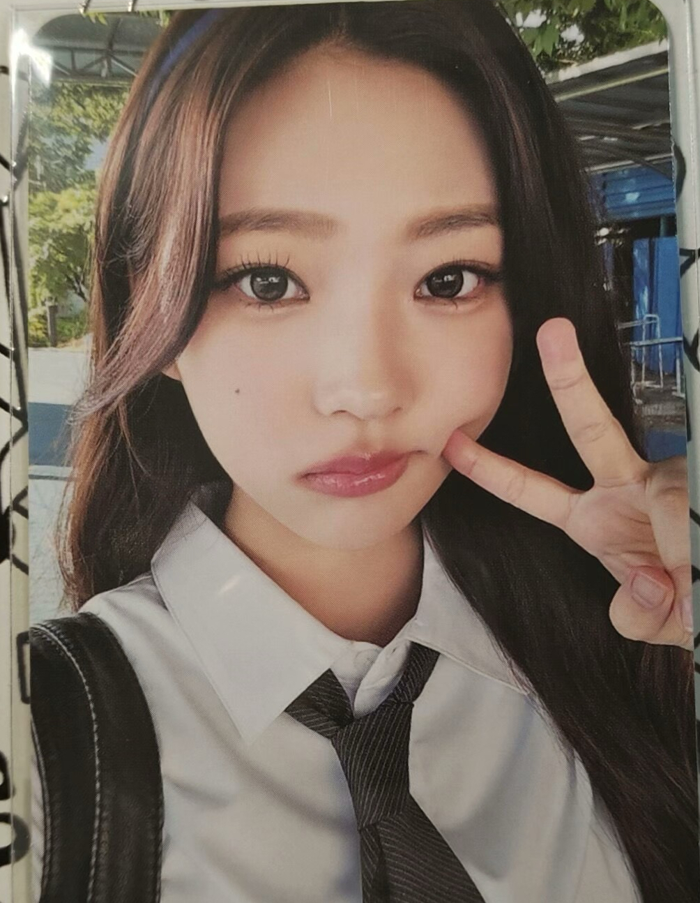 stella 指南書特典