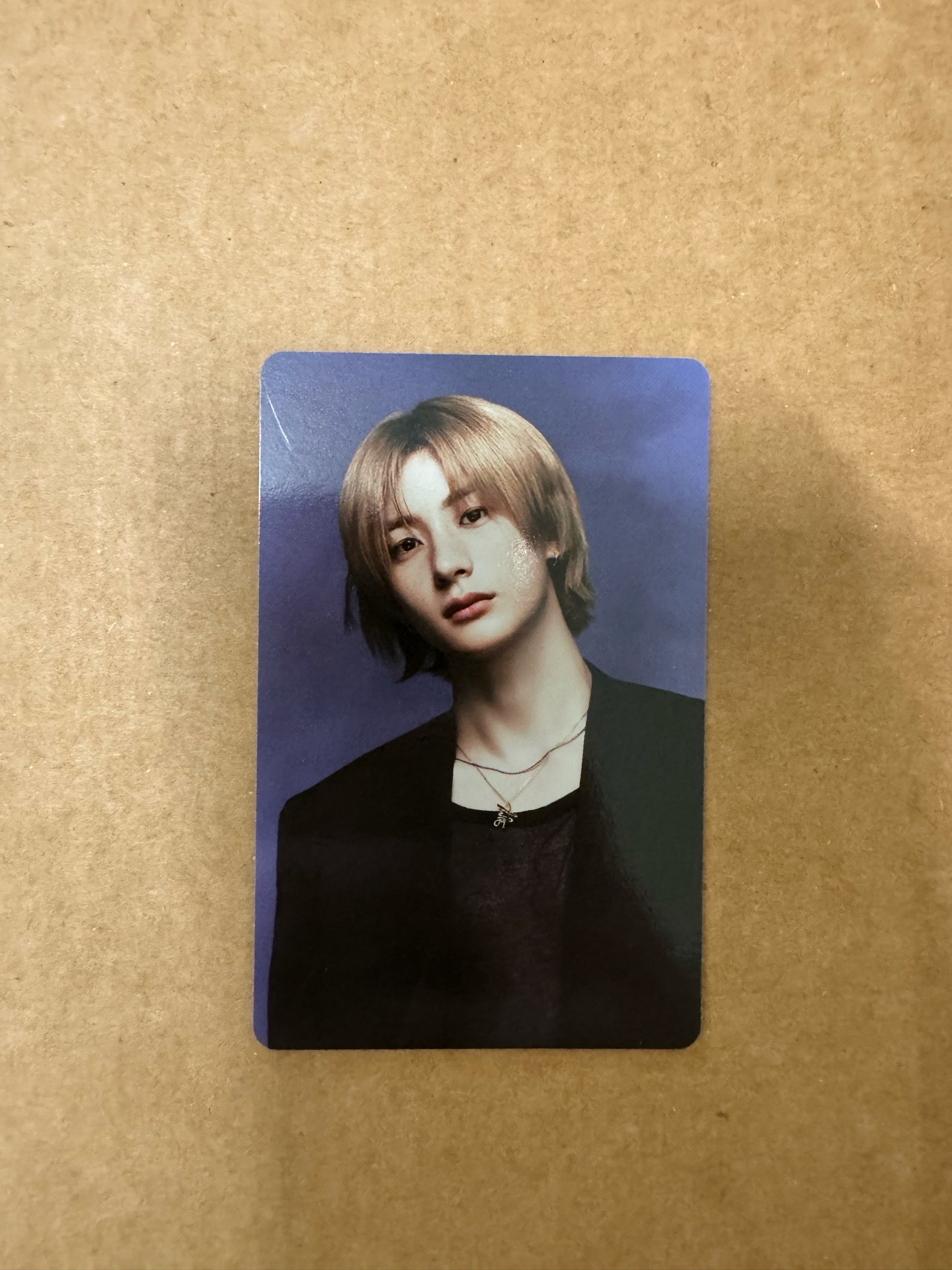 2025 年曆安卡（薄紗衣）