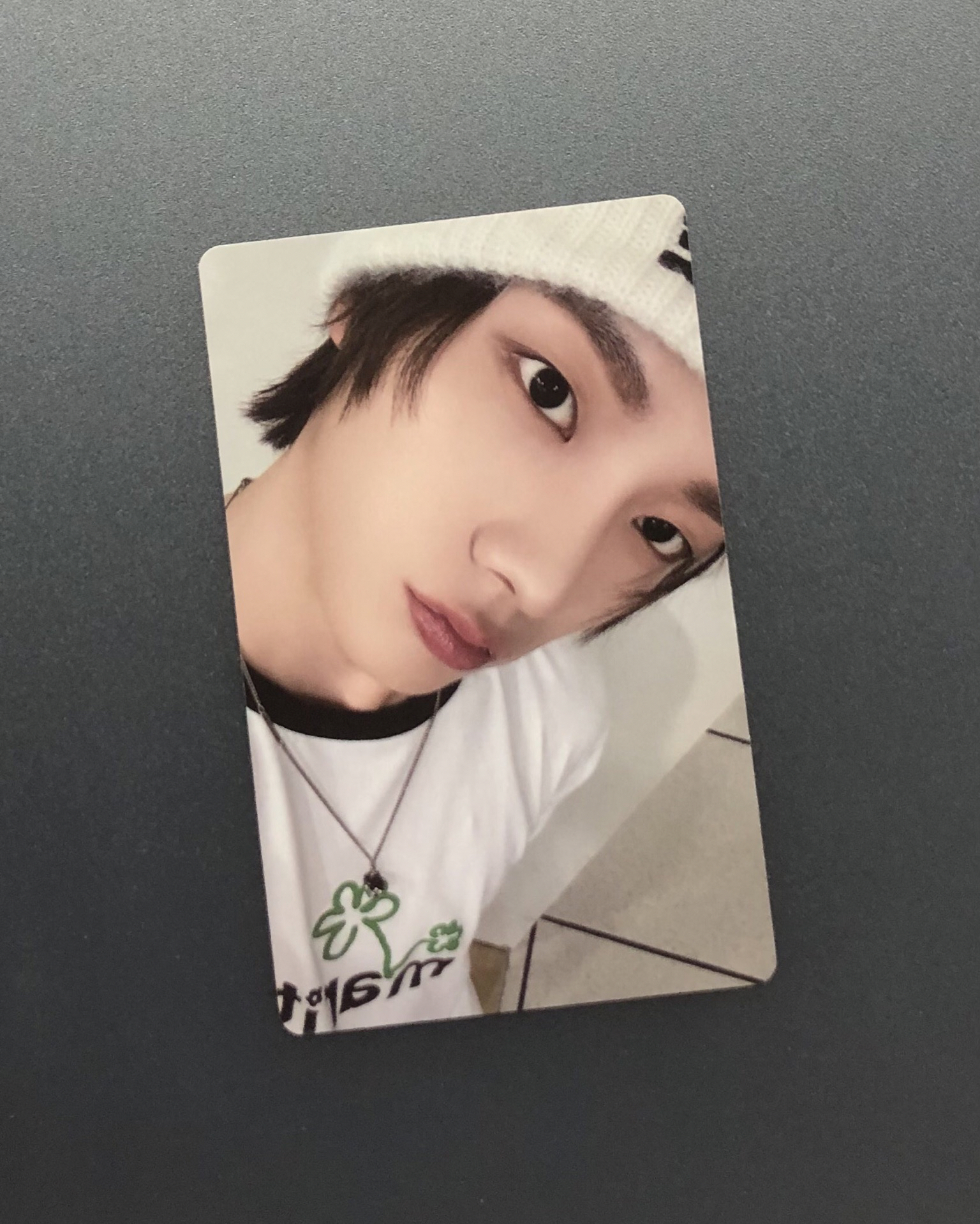 19.99 wvs 特別禮 1