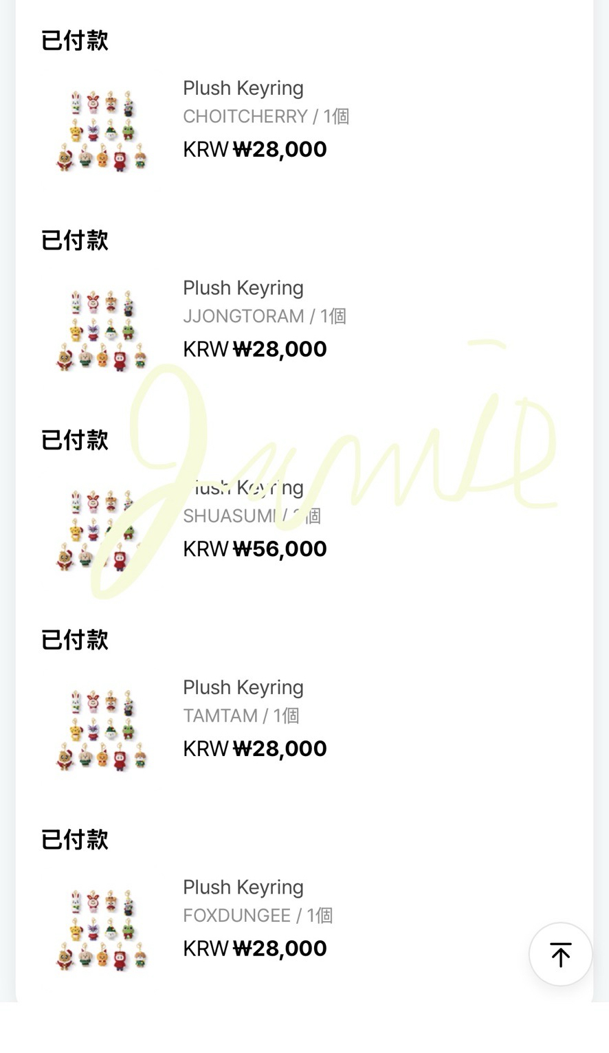 SEVENTEEN 聖誕系列 站姿鑰匙圈 目前都是二販（或三販）