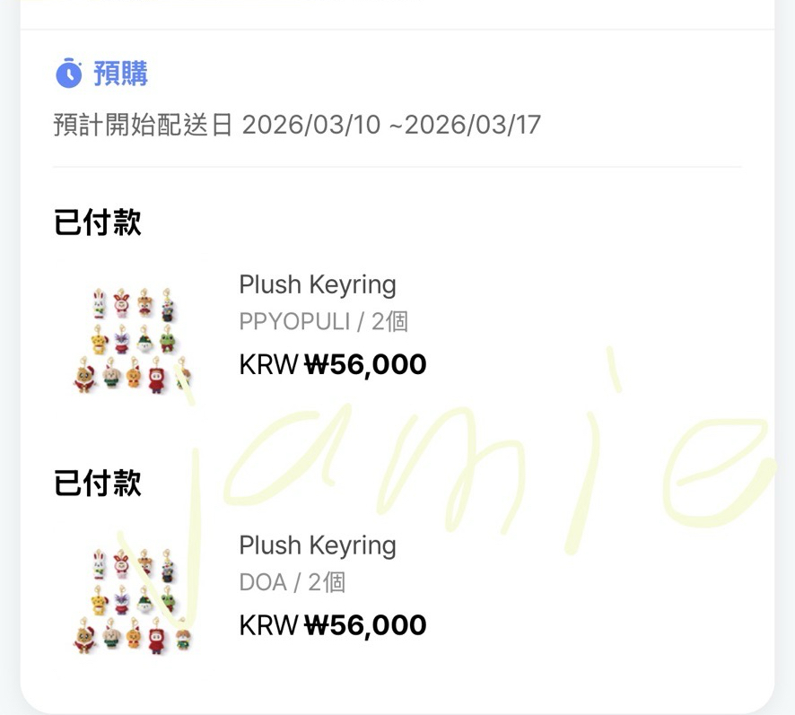 SEVENTEEN 聖誕系列 站姿鑰匙圈 目前都是二販（或三販）