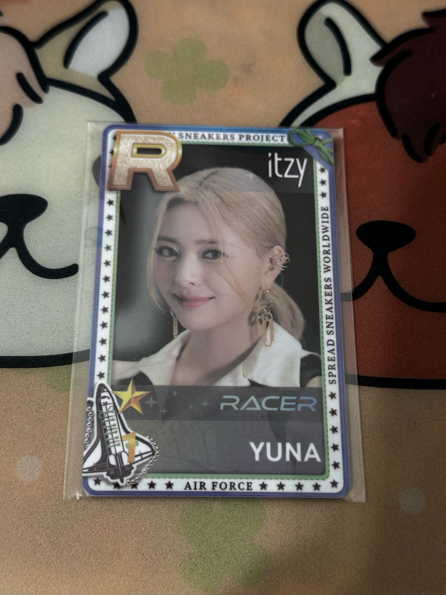 遊戲卡《PVC材質 容易有刮痕》