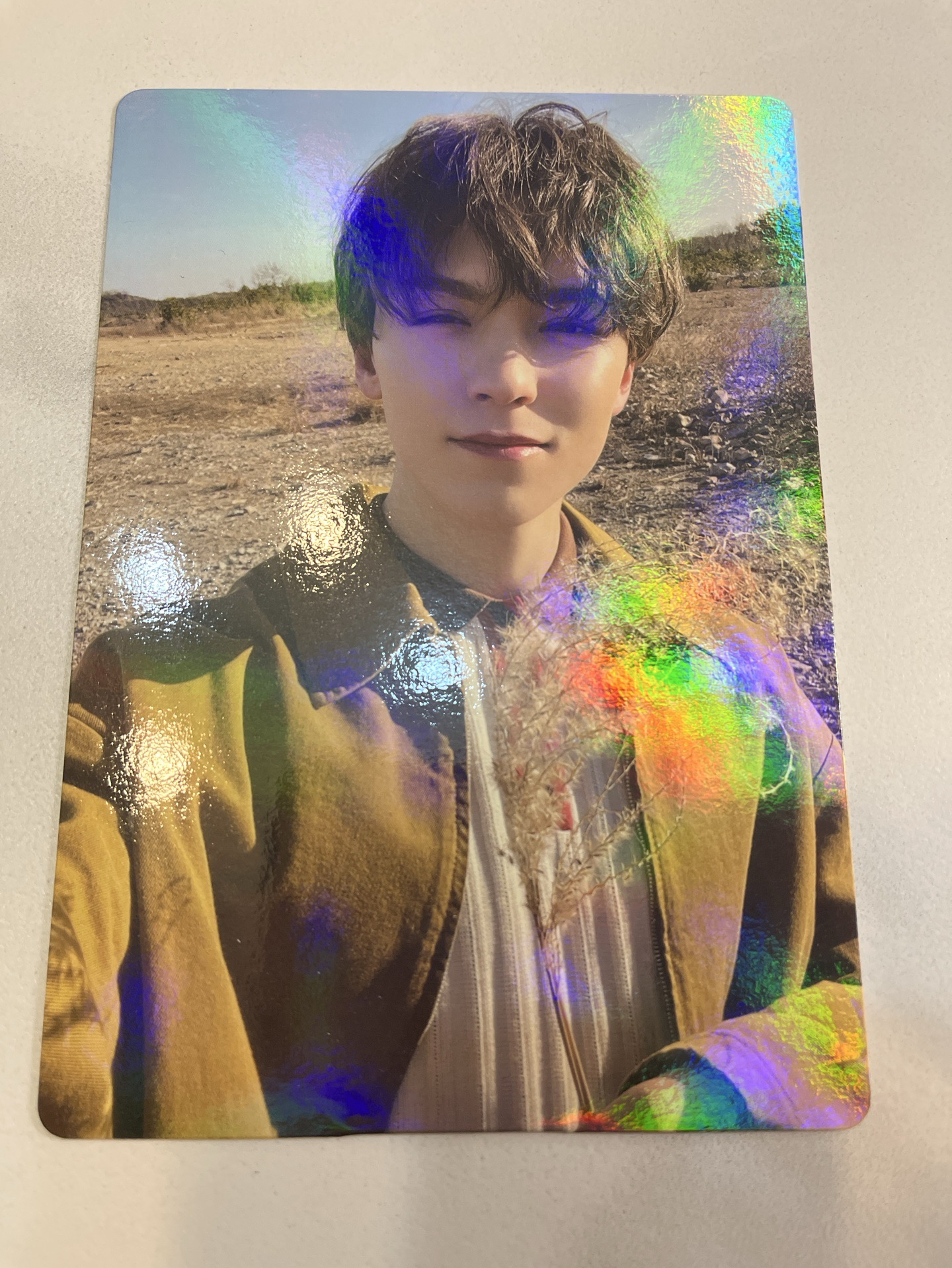 正四 WVS特典 率