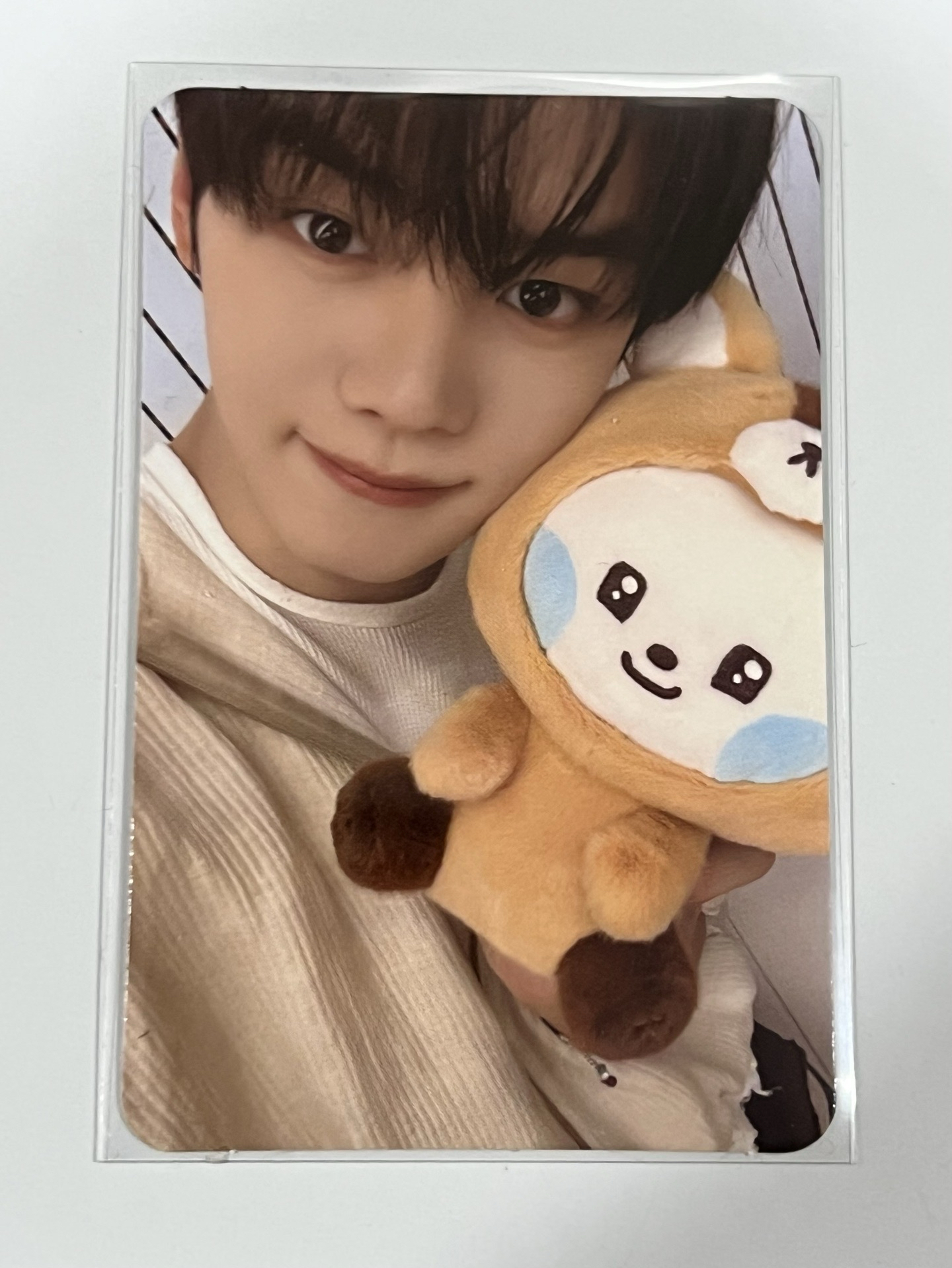 Kim GyuVin zeroni FW 滿額卡 