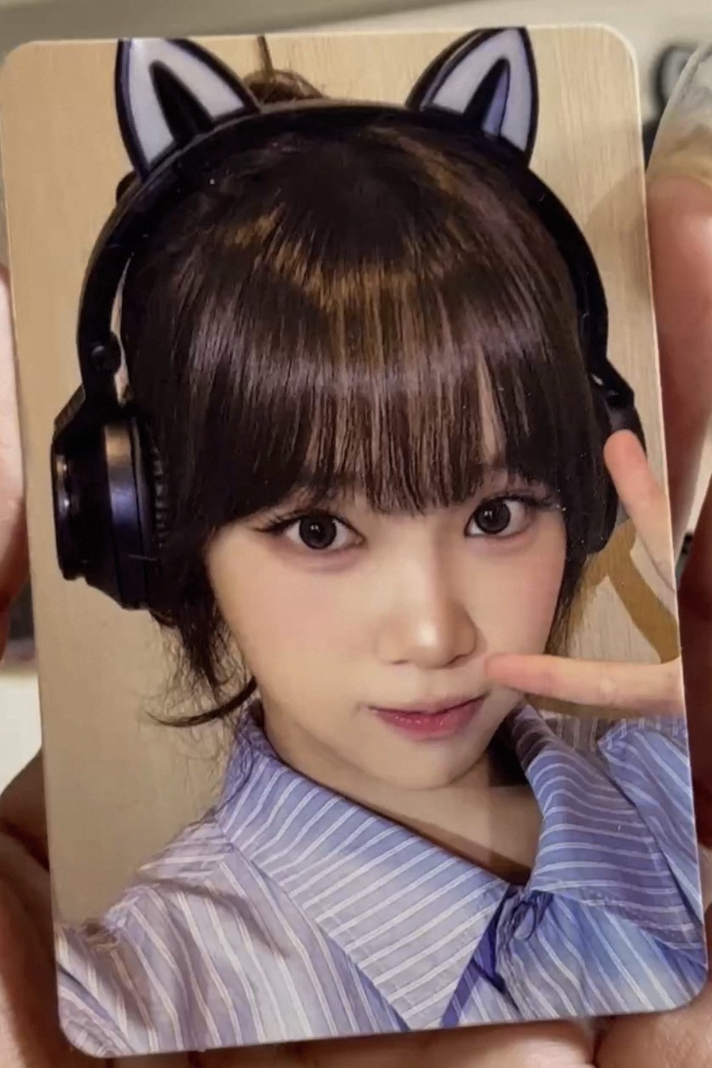 hello82 耳機采 貓耳采