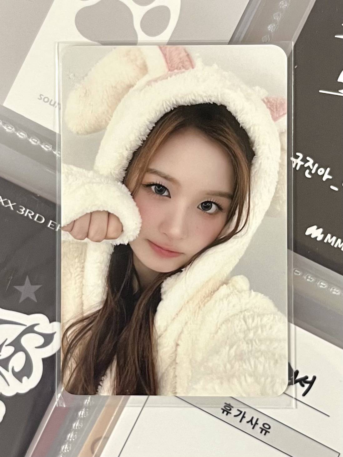 NMIXX 動物睡衣薛