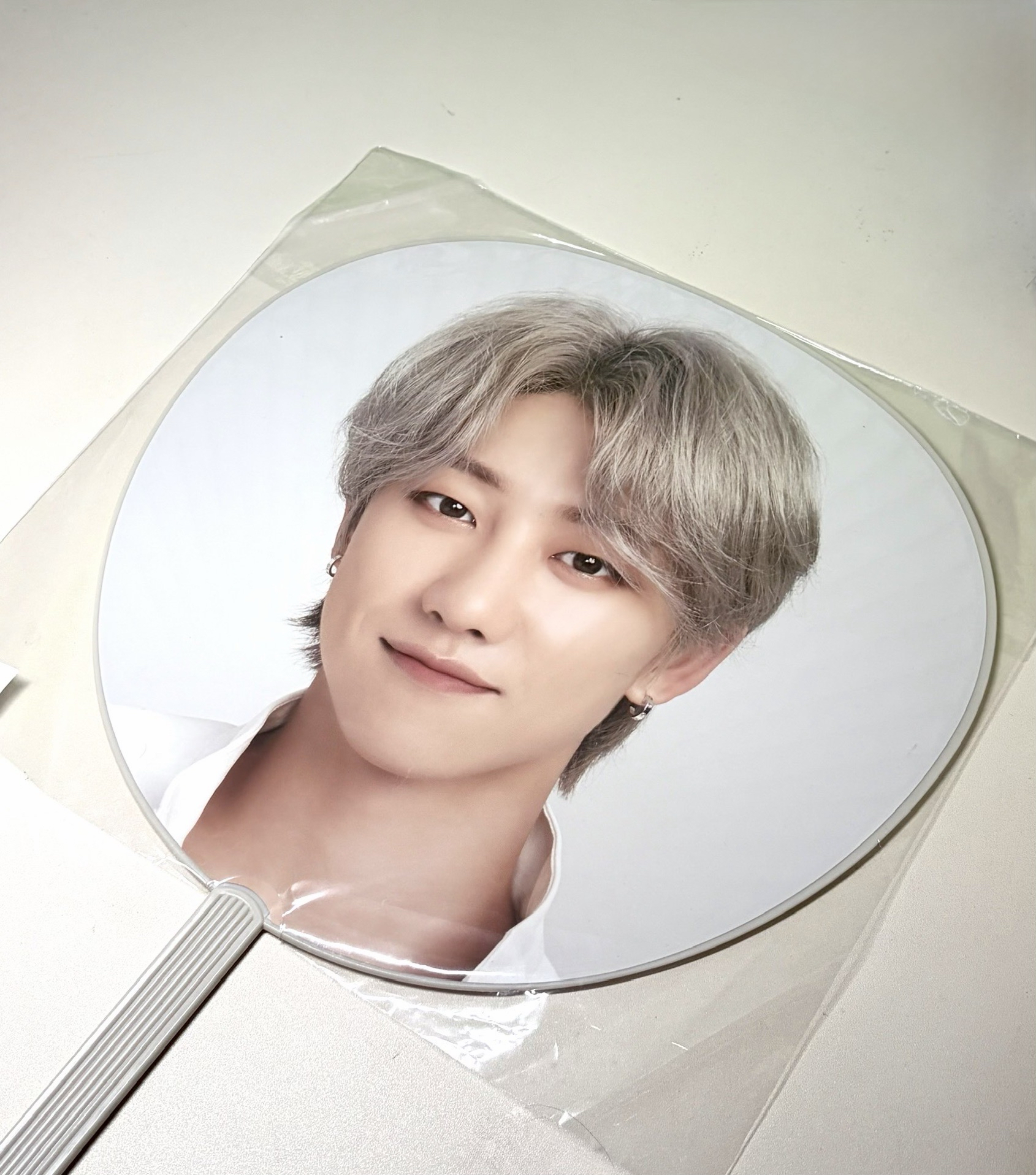 19年OTY日巡大扇（保留中 勿下）