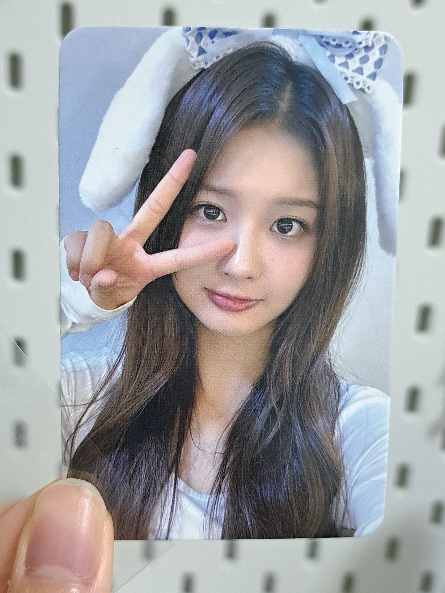 仲夏夜 sw 4.0 幸運卡 狗耳薛