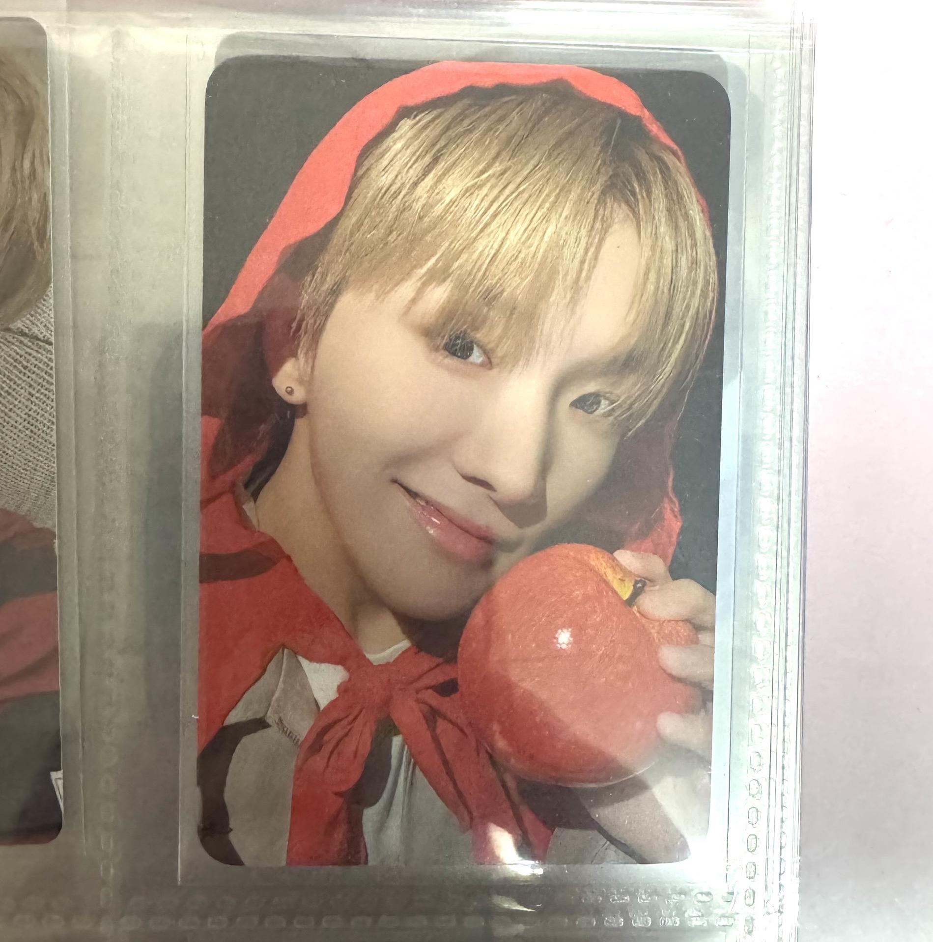 🐶小紅帽鶴🍎