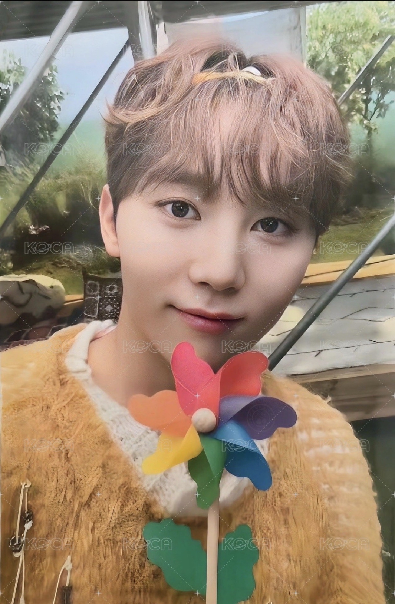 寛 BSS打歌卡 /MINI11 打歌卡 