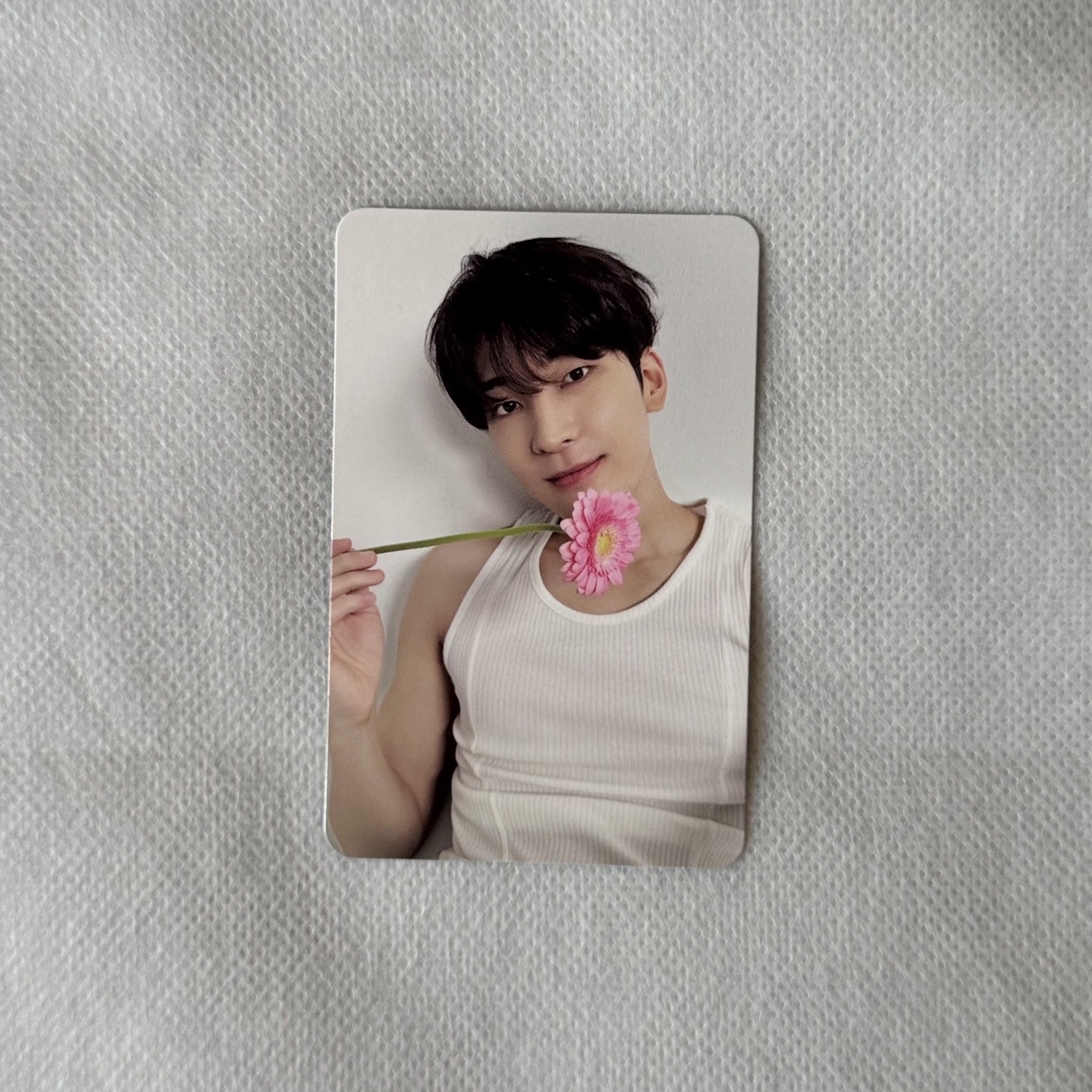 SEVENTEEN 精選專 克拉盤專卡｜圓🐈‍⬛