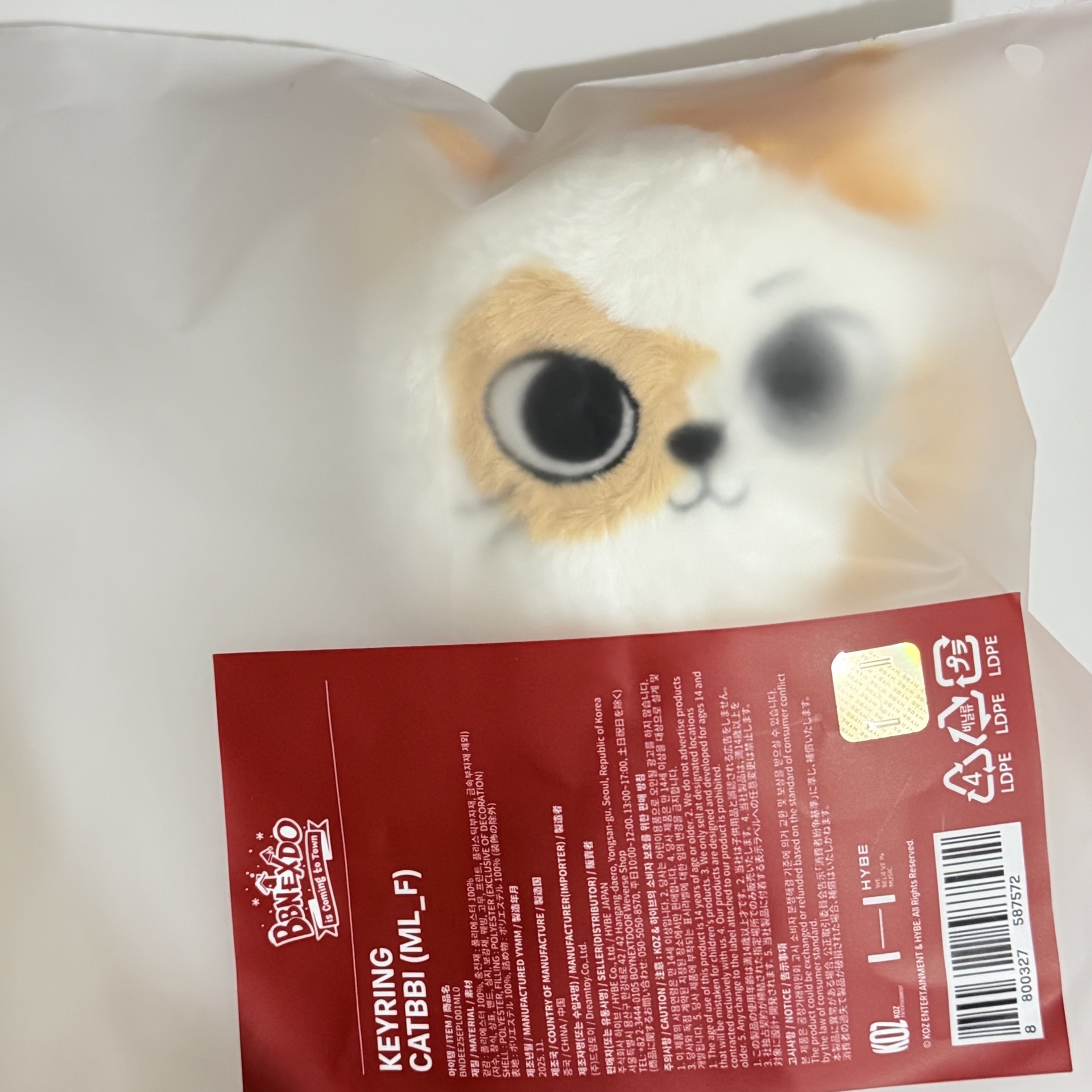 boymextdoor bbnexdo 貓比 聖誕娃