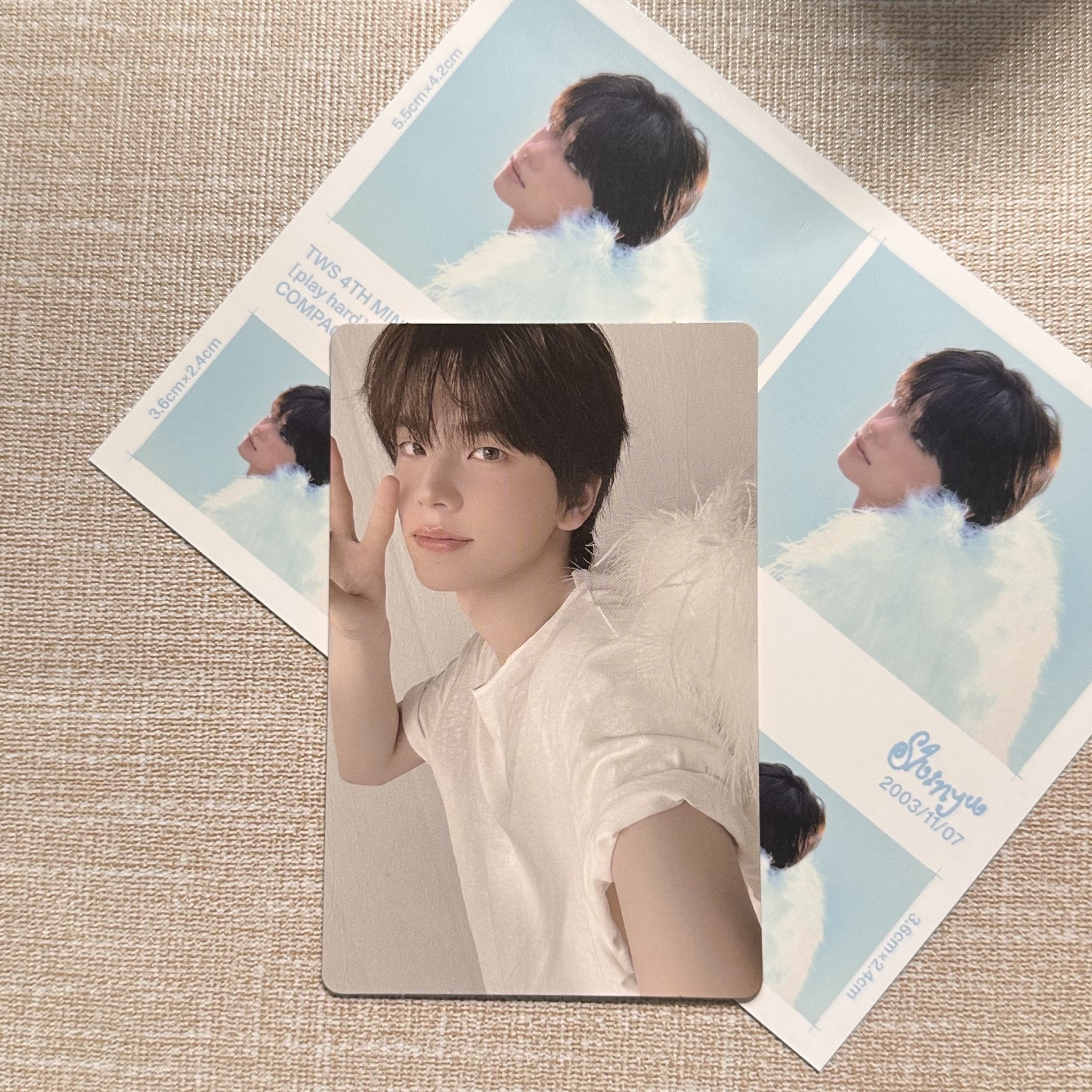 迷四單封 專輯卡&明信片 申惟