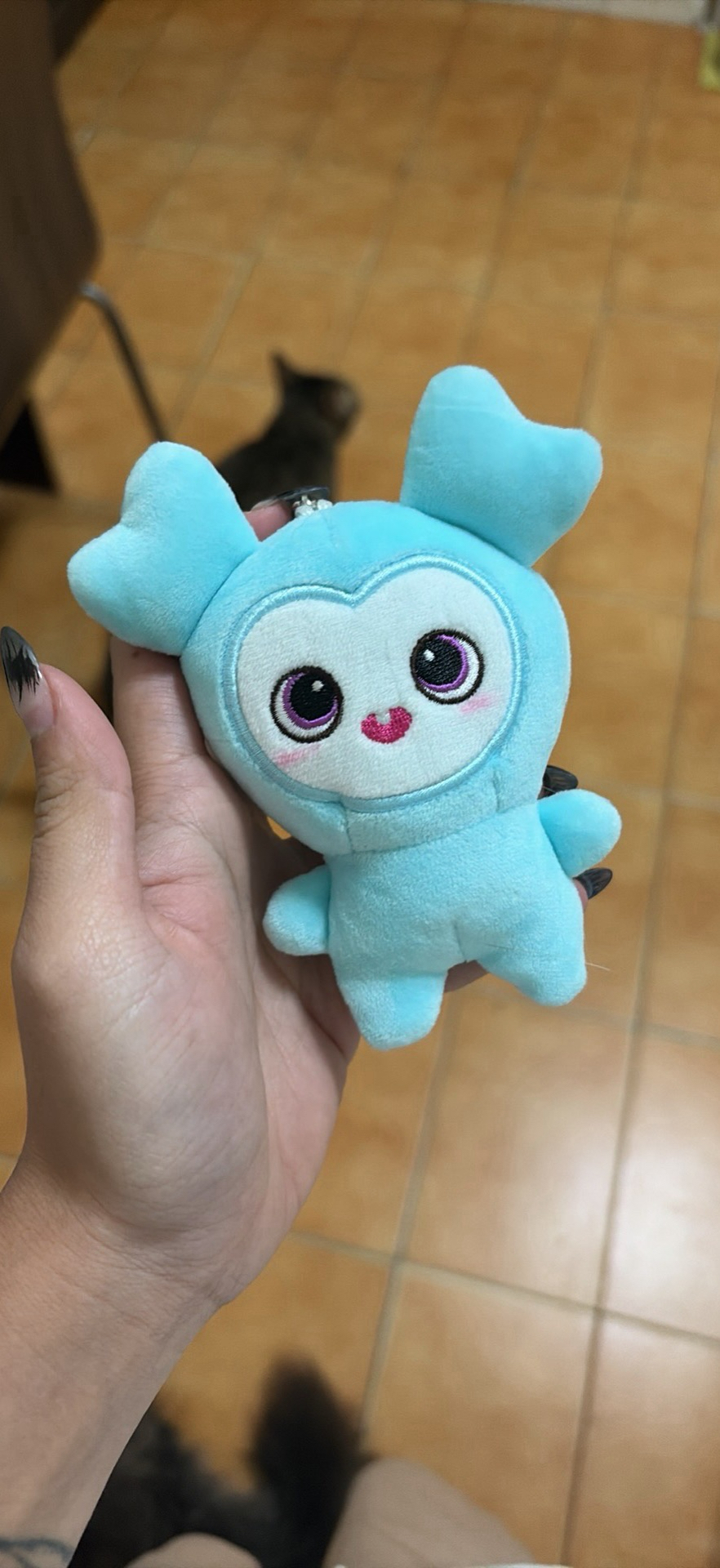 twice 娜璉反轉娃