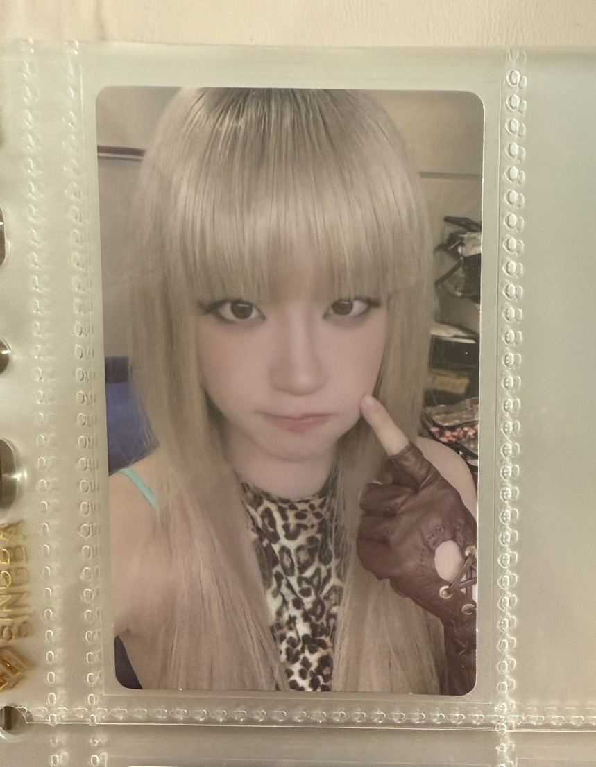 We are wvs 線上1.0 簽售卡 