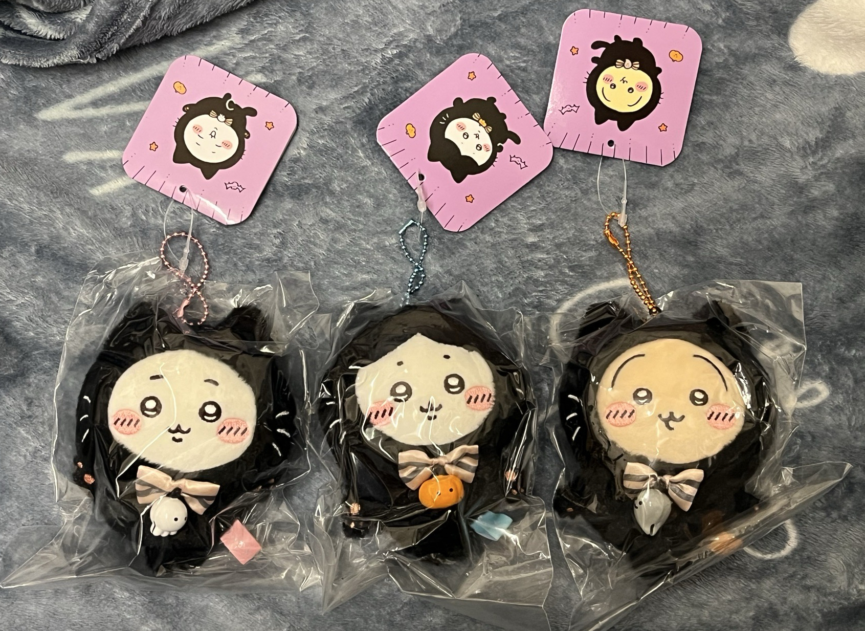 吉伊卡哇 萬聖節 黑貓