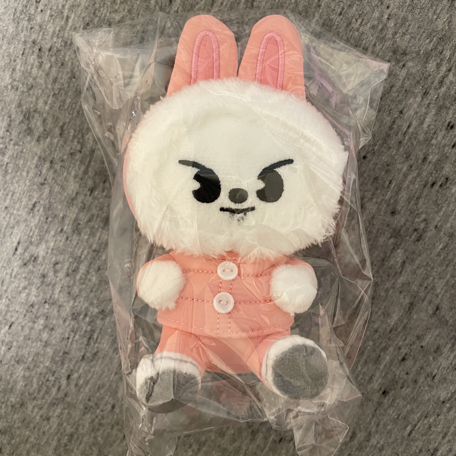 娃類周邊（燦居多）