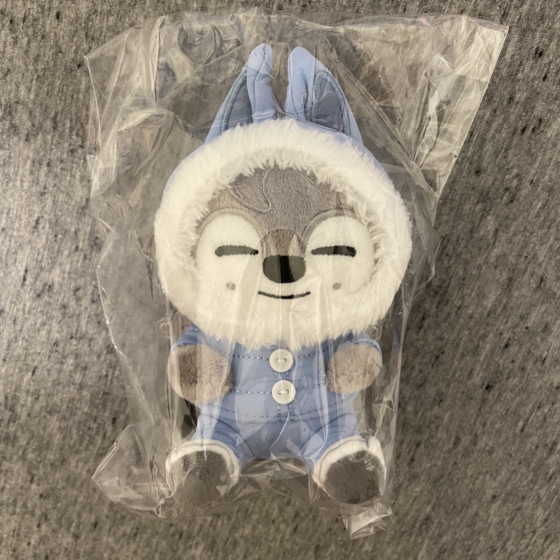 娃類周邊（燦居多）