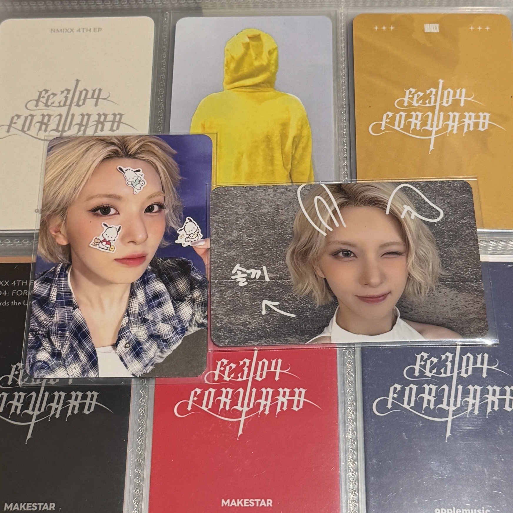 貼紙 寵物鏡頭 裴