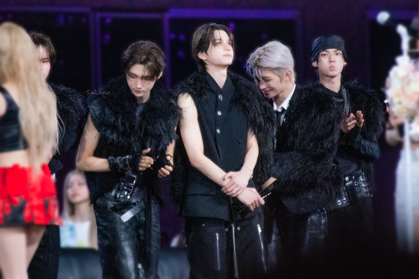 小丑魚（1/23-2/23暫停出貨）