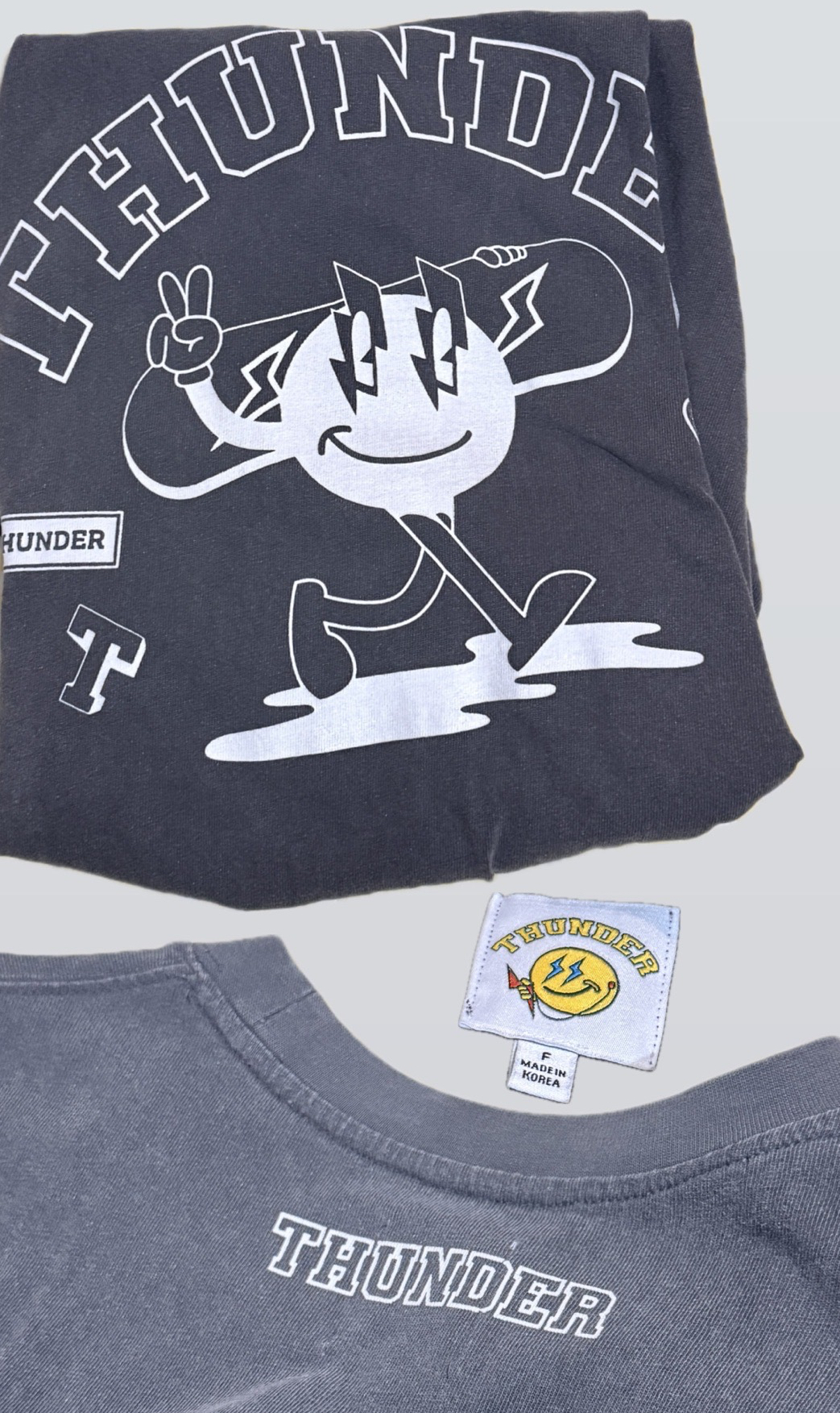 [二手] 2022 限定周邊 [THUNDER] 灰色水洗T（TYPE 2）