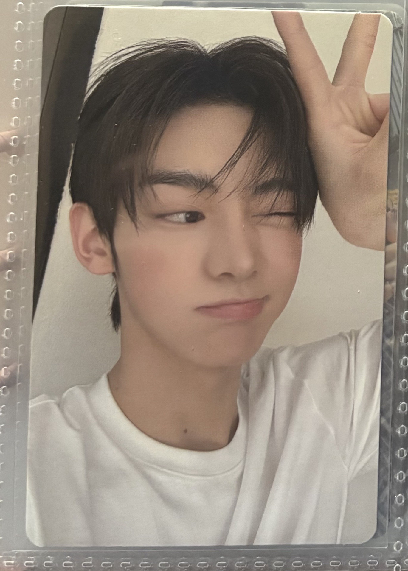 TWS 專卡 李炅潣 崔英宰 韓振 