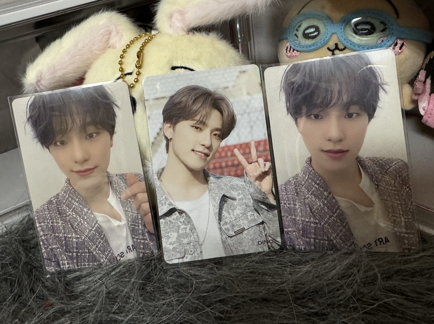 紫髮燦 感謝祭燦