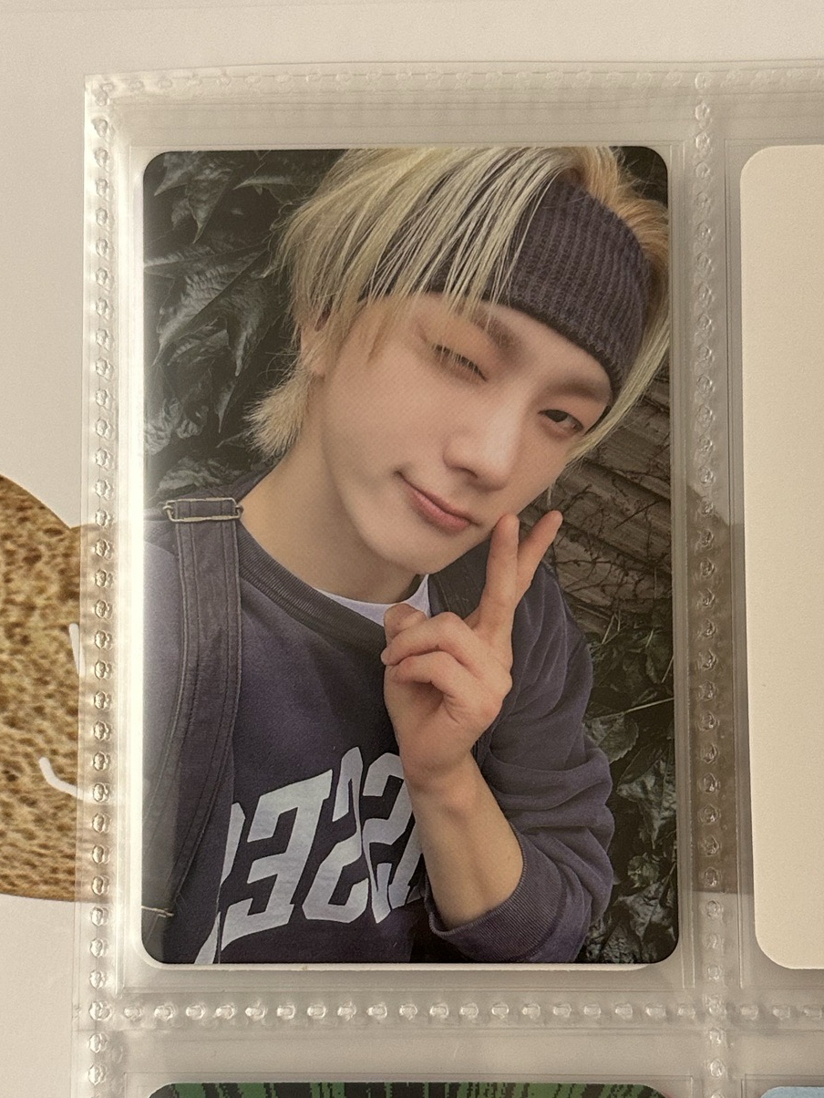 The Action 單封專卡 成淏🐱