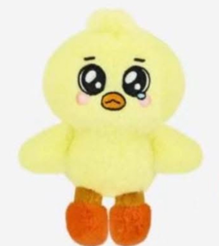 NMIXX fm嫄大娃+裴大小娃+12張特典