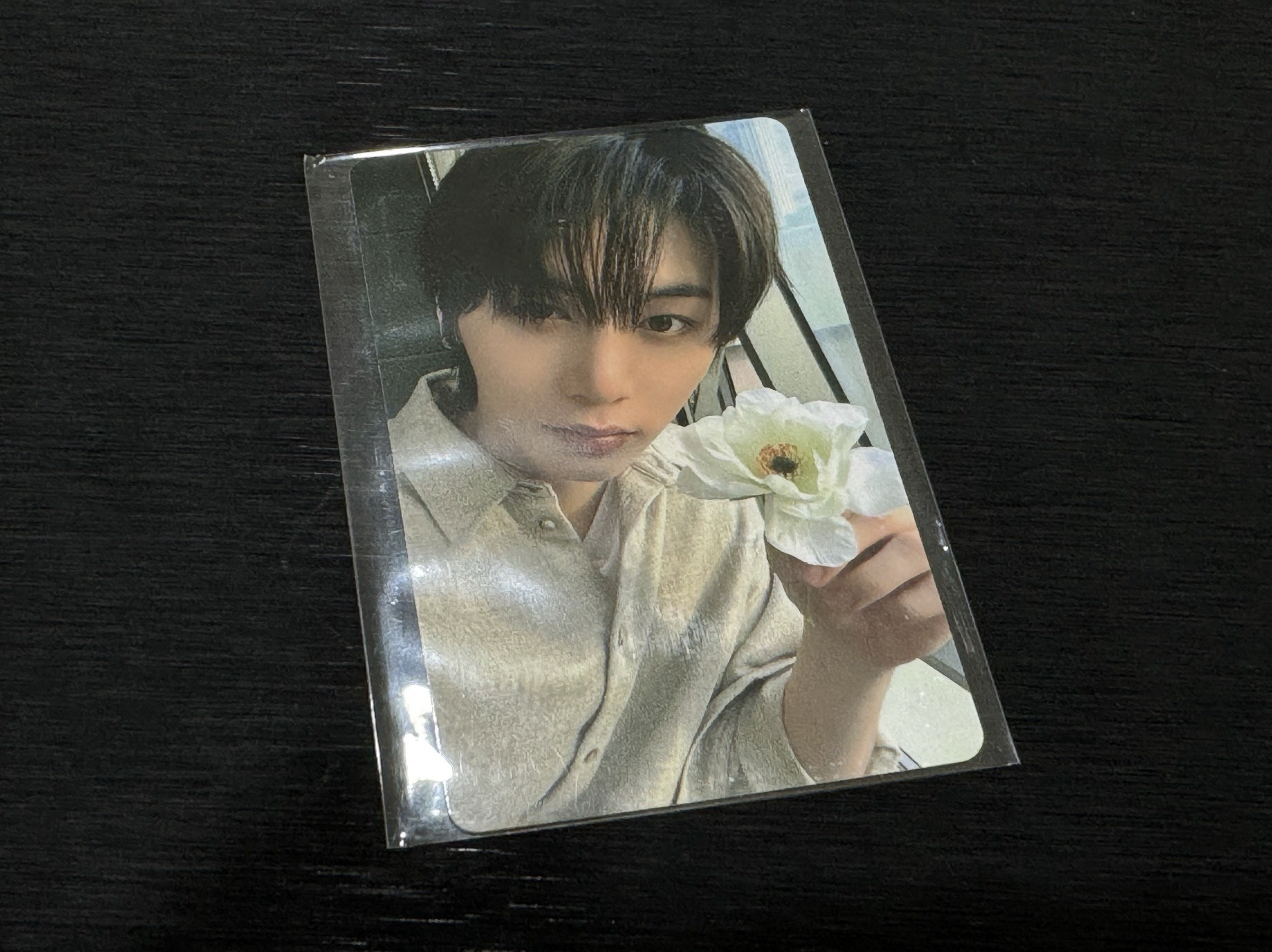 🚪單封4專卡6、特典4