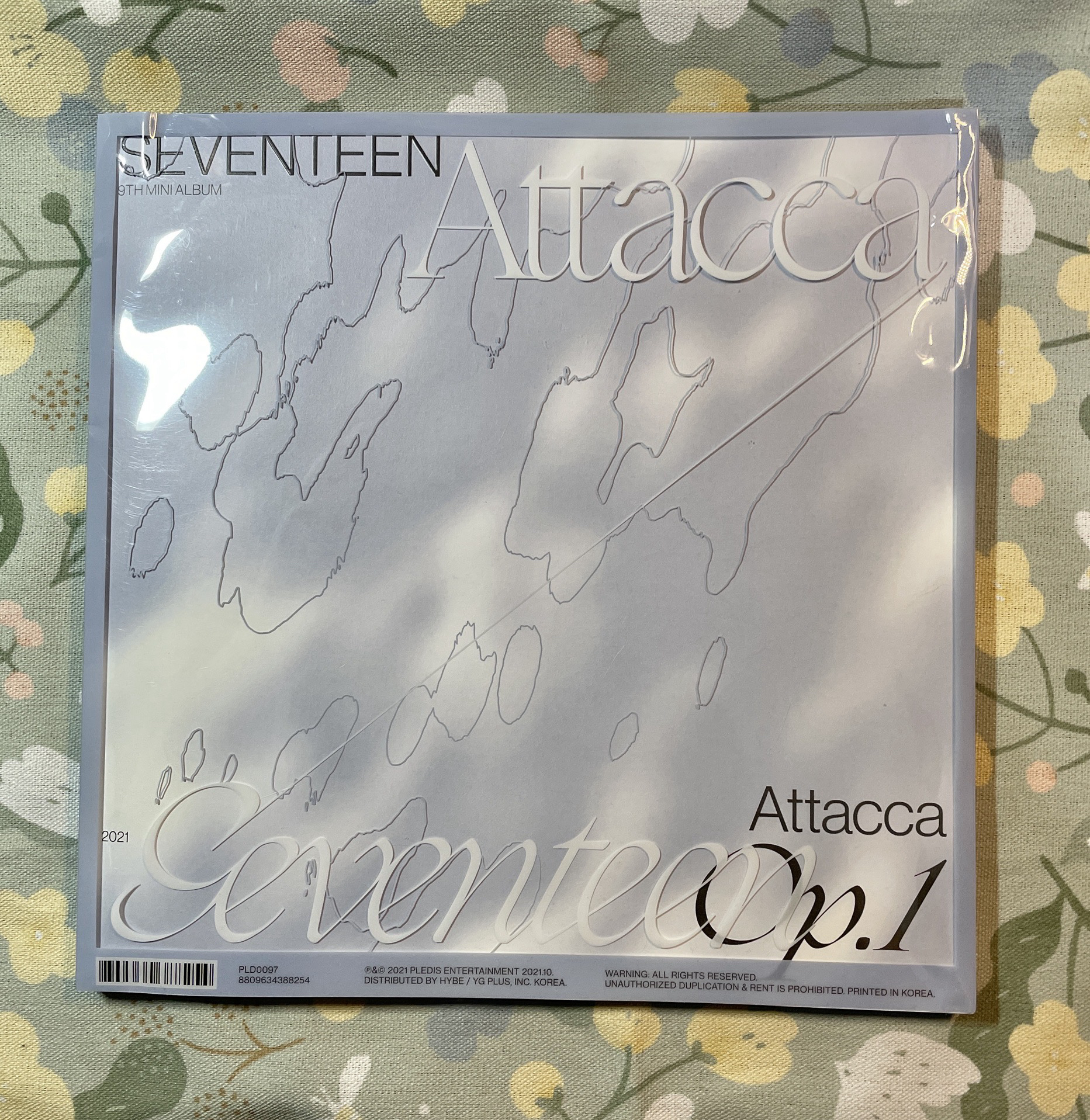 迷9💎op1.泡隊空專