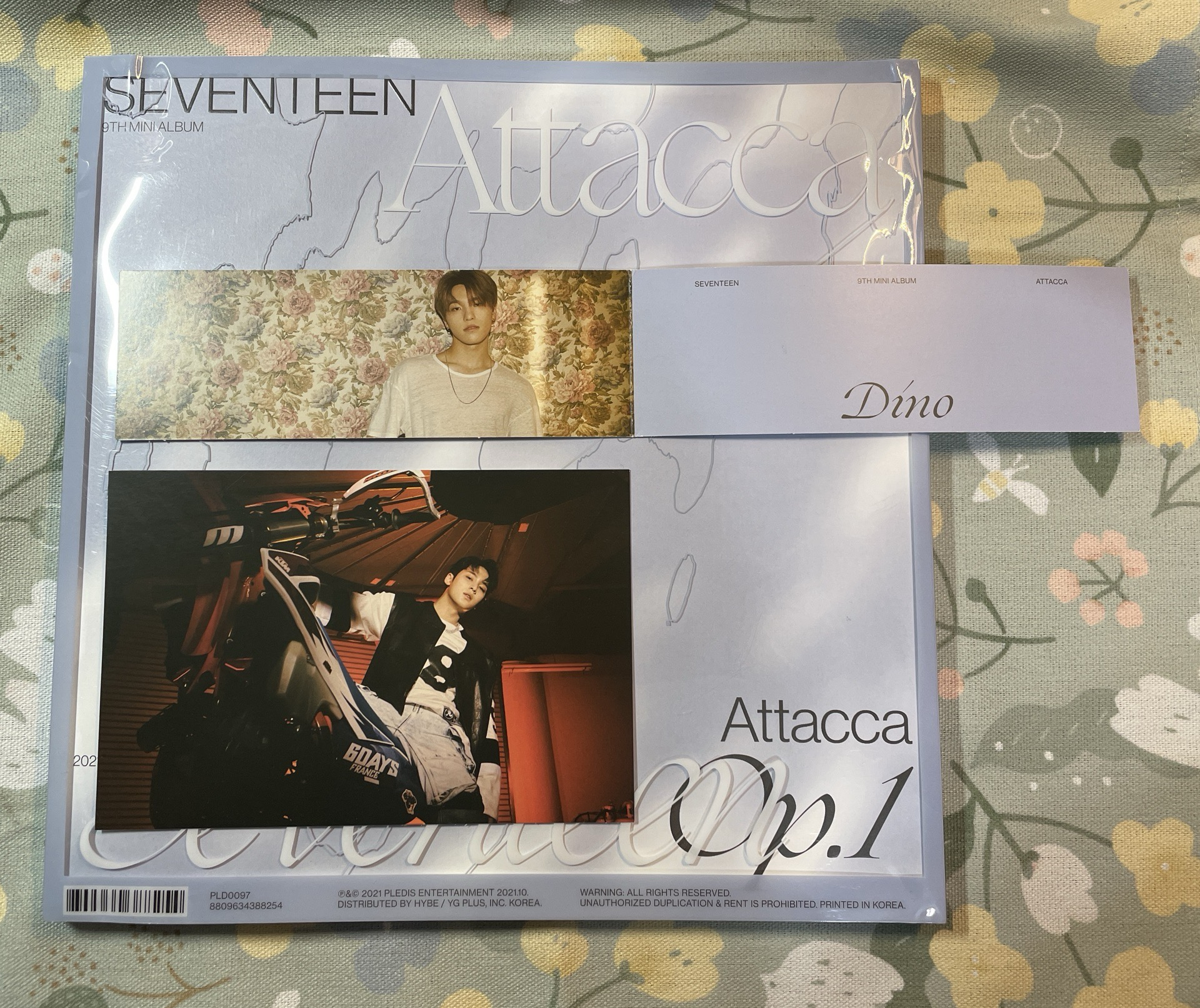 迷9💎op1.泡隊空專