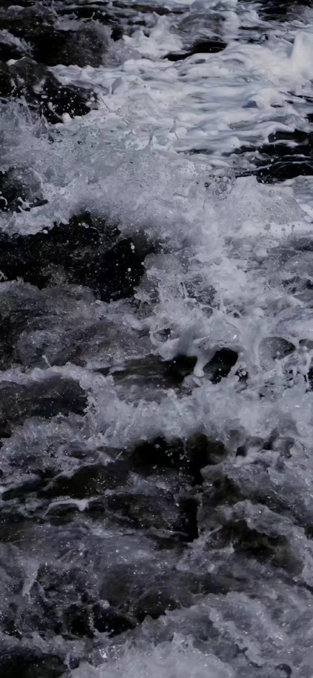 zico（多收可議價請先詢問