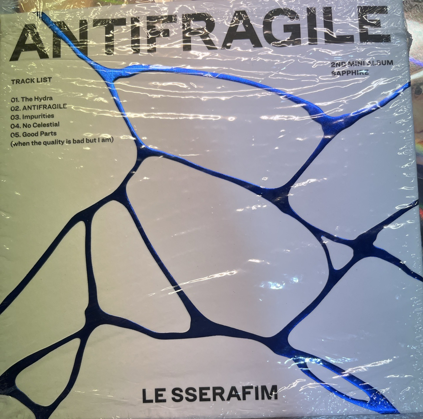 Lesserfim中村一葉版空專