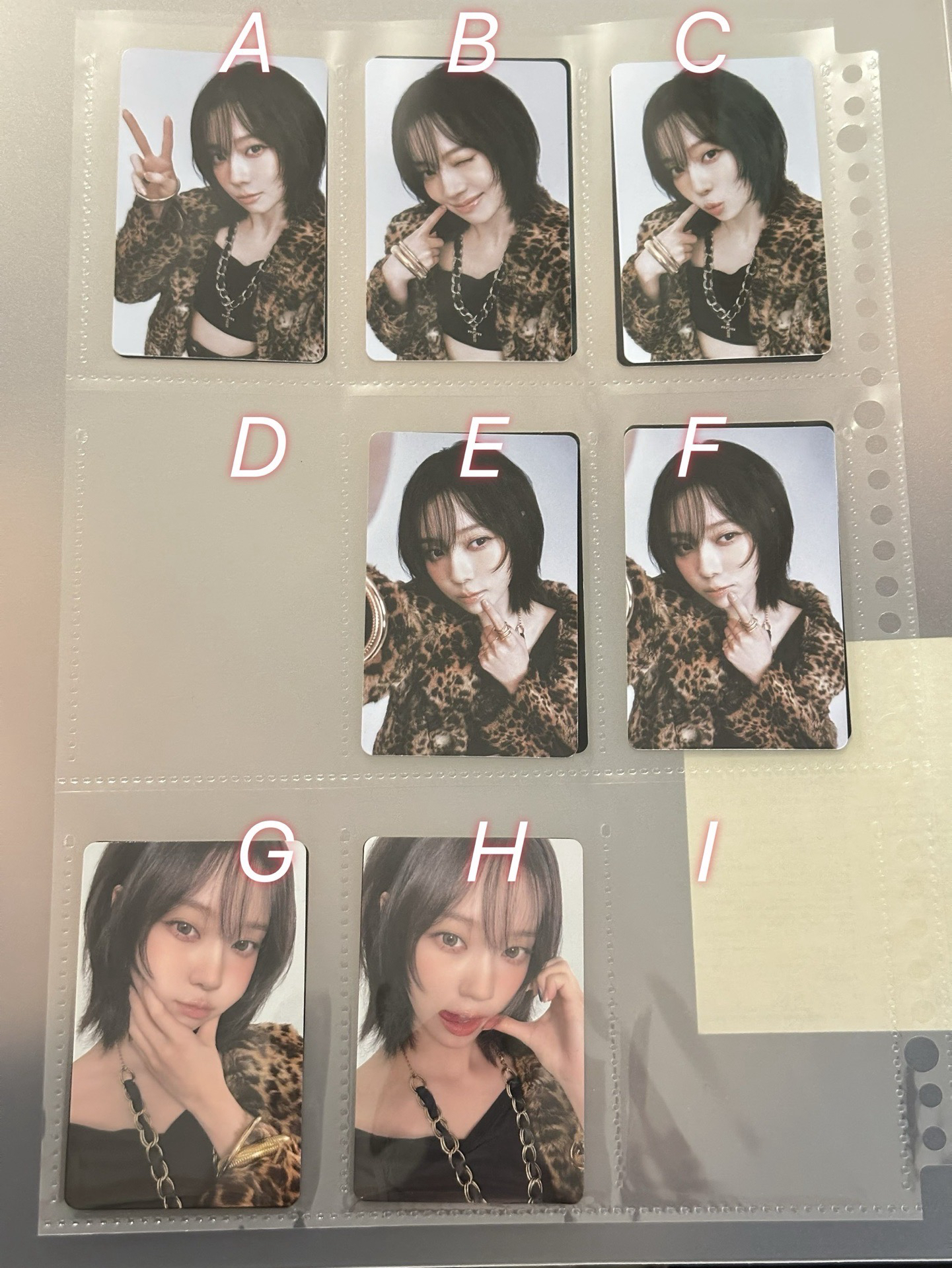 笨蛋哺笨蛋(No, I’m Winter~