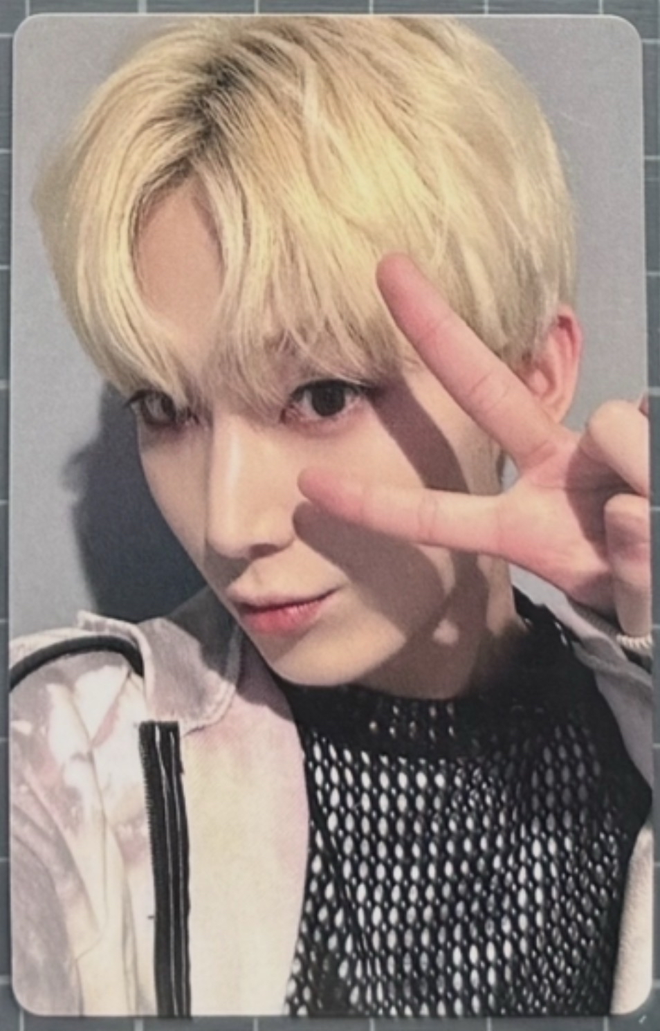 yzy動物卡背禹🦊