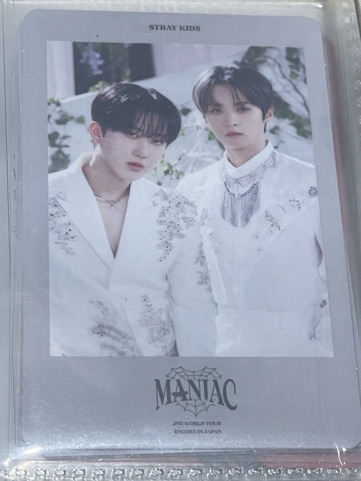 stray kids 雙人卡