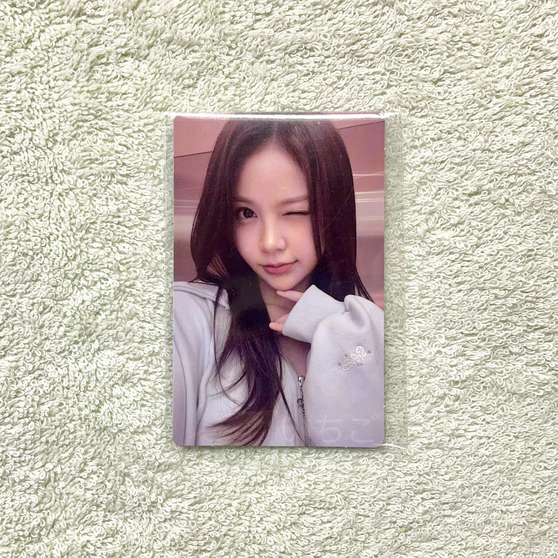 Carmen🌴FOCUS WVS簽售特典