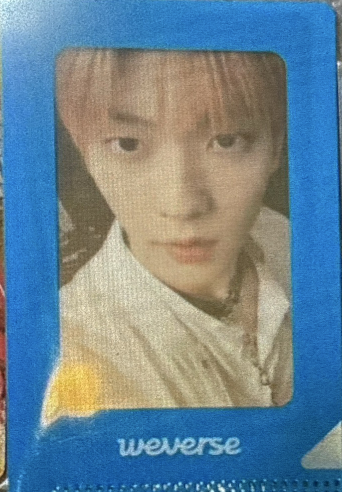 2024 wvs con入場卡