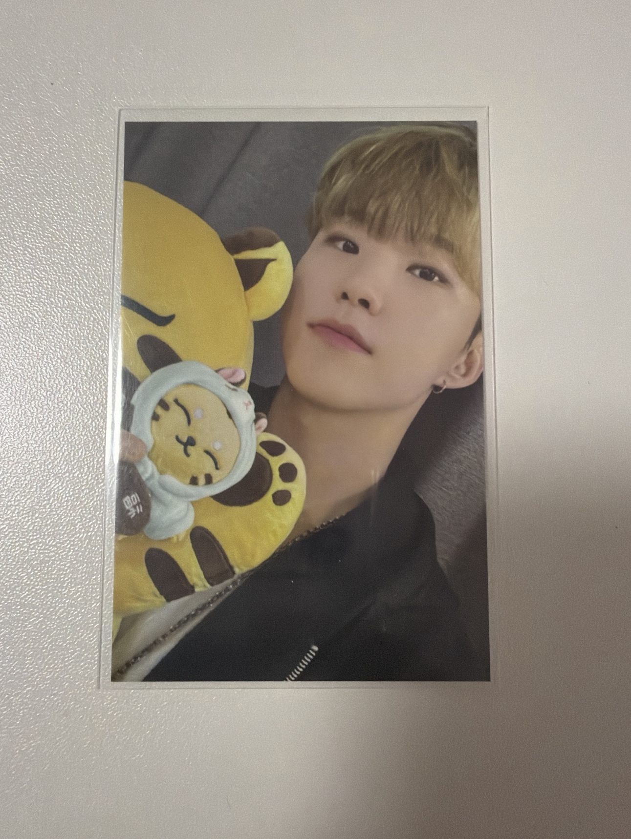 🐯小眈眈榮榮卡