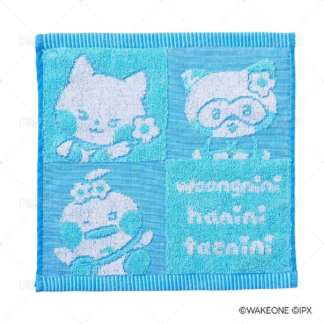 一番賞 昊雄來毛巾